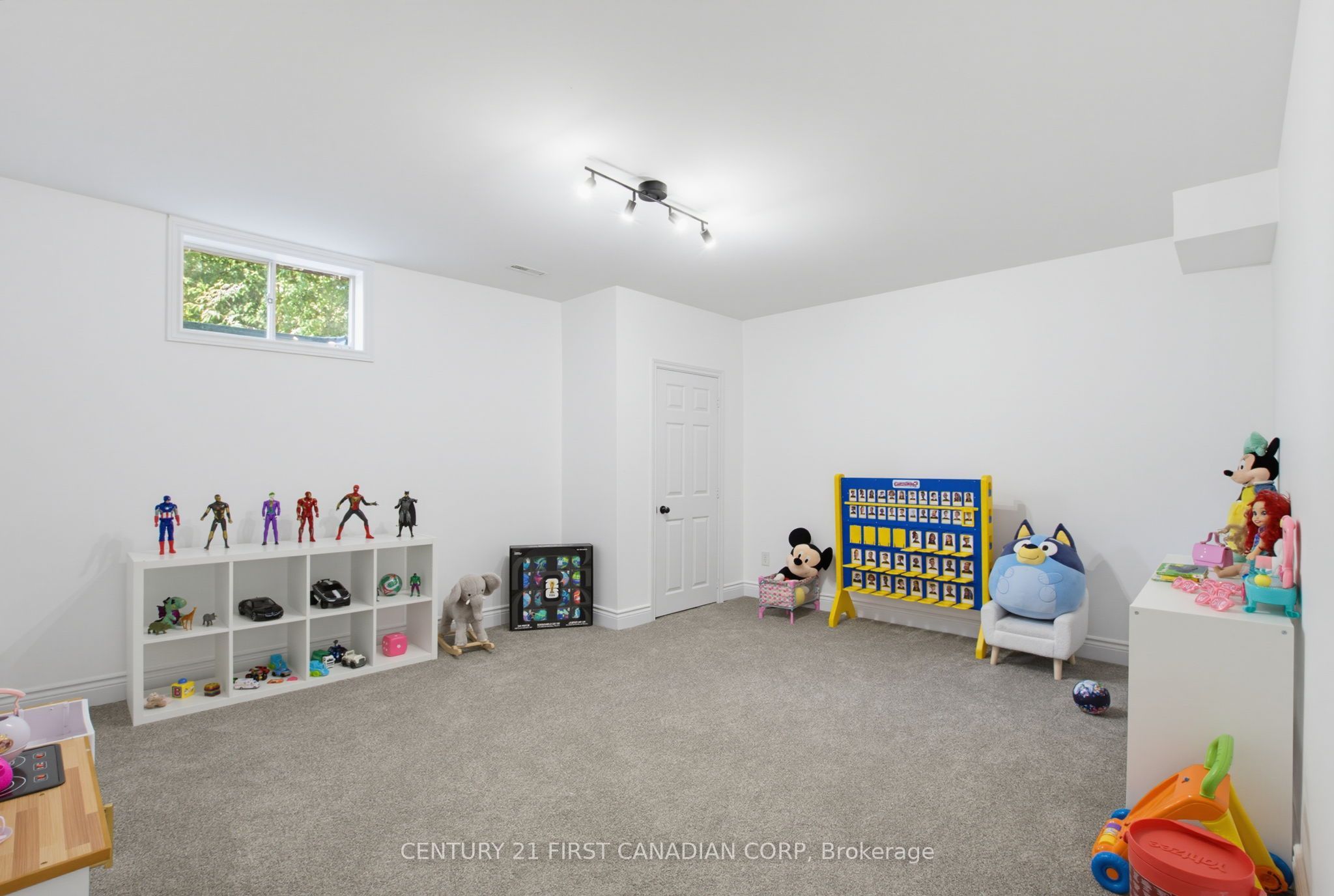 106 Fitzwilliam Boulevard Property Photo 29
