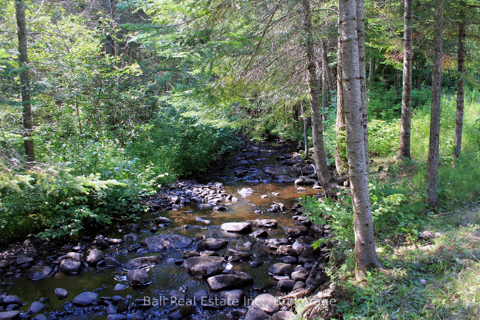 5472 Loop Road Property Photo 43