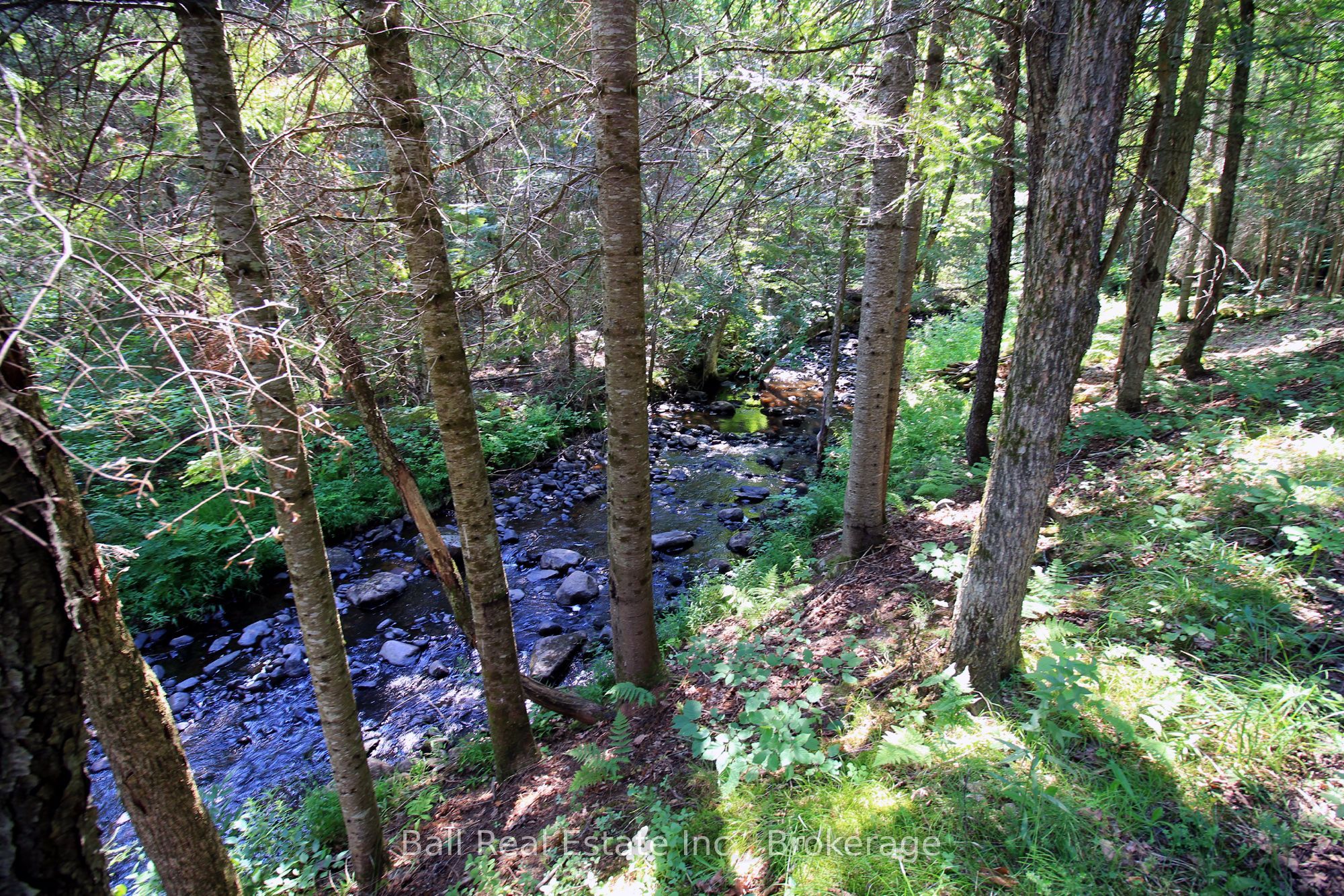 5472 Loop Road Property Photo 44