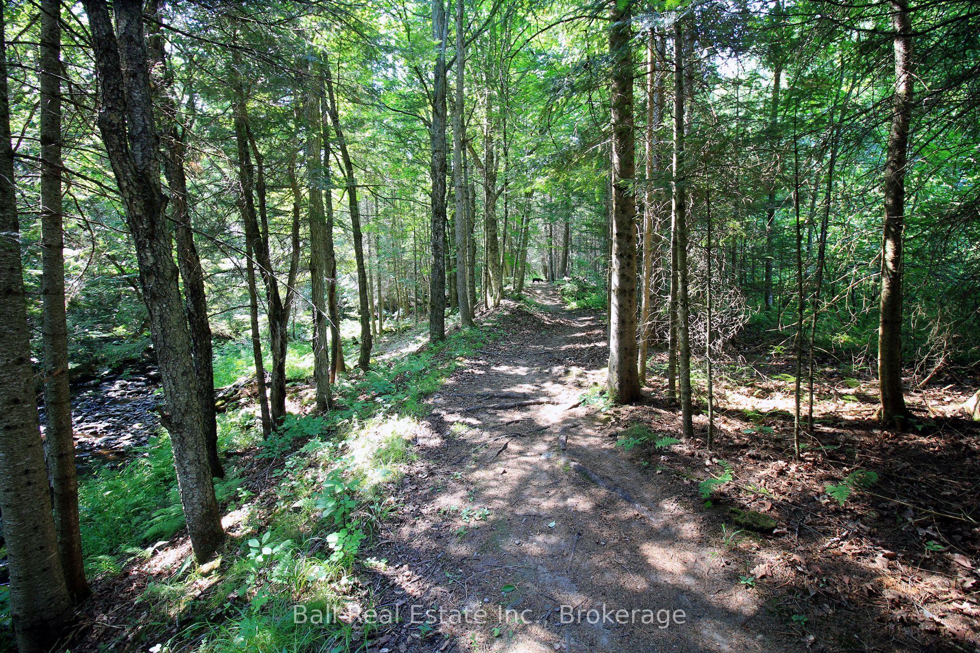 5472 Loop Road Property Photo 45