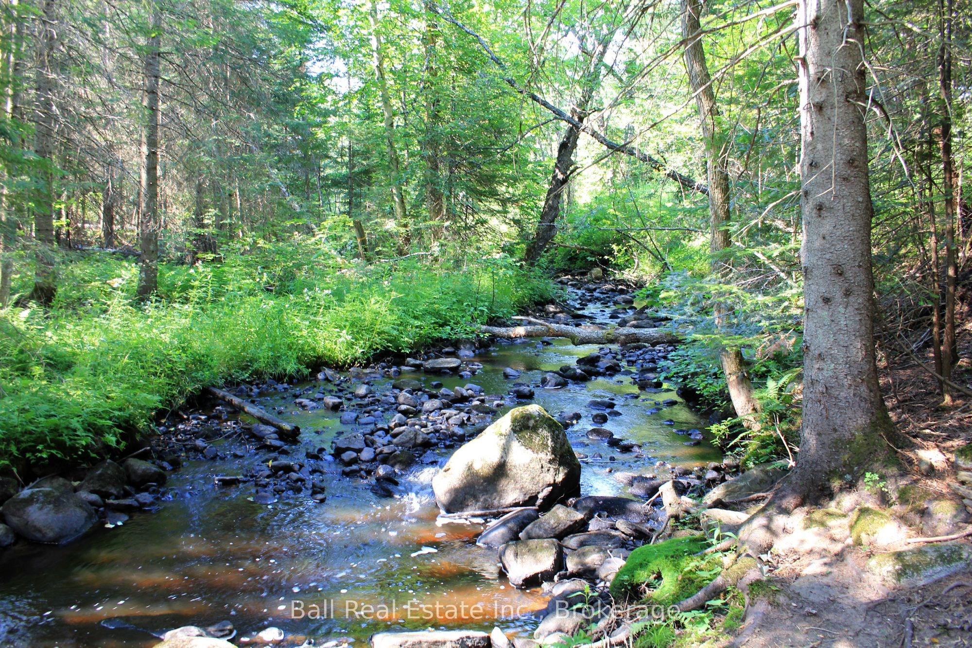 5472 Loop Road Property Photo 46