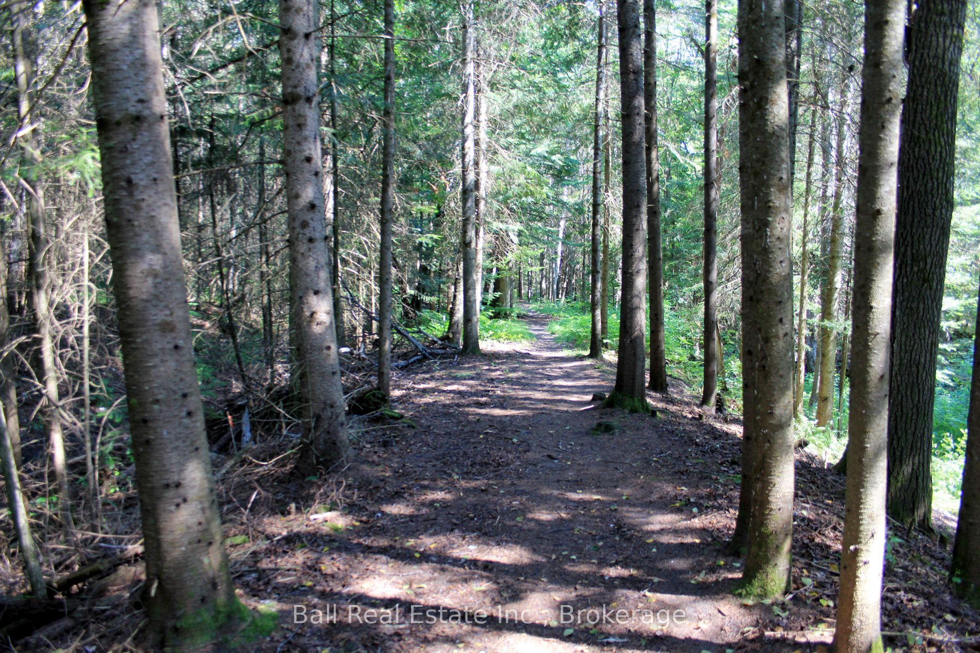 5472 Loop Road Property Photo 47