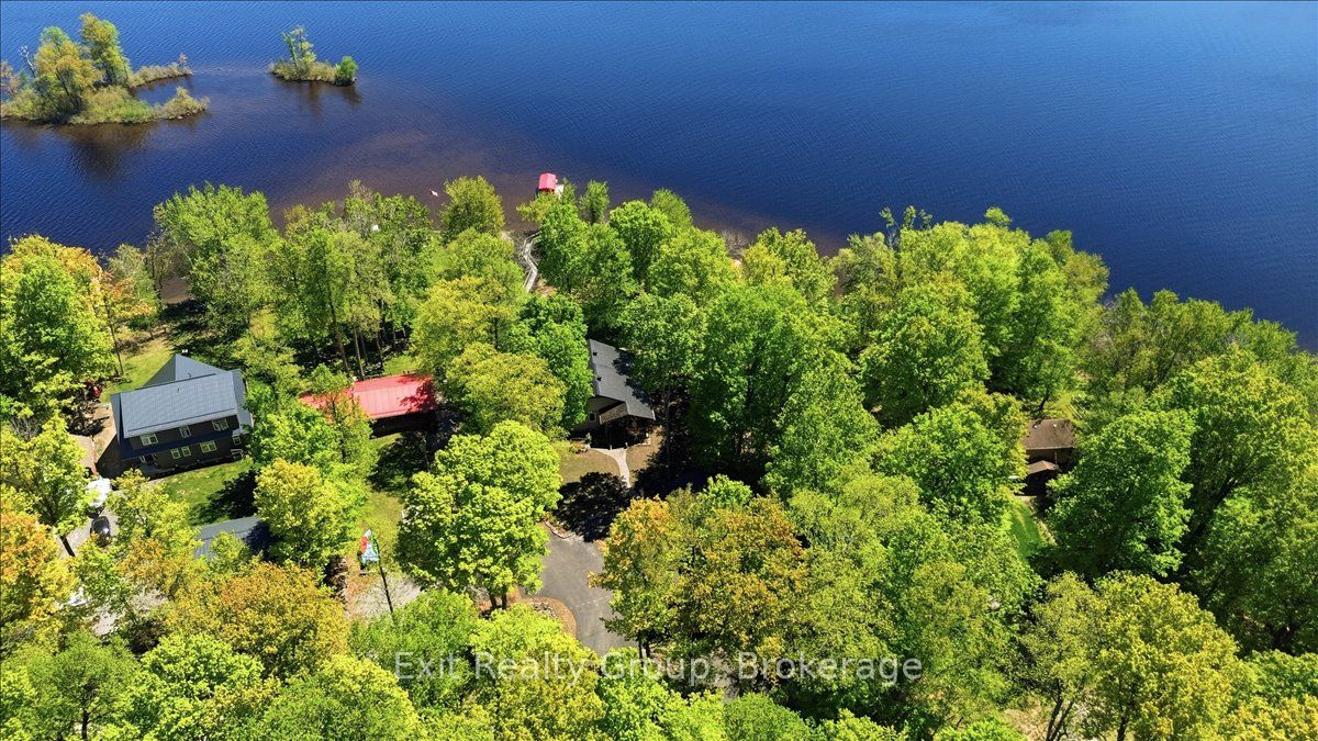 919 Cook Road Property Photo 48