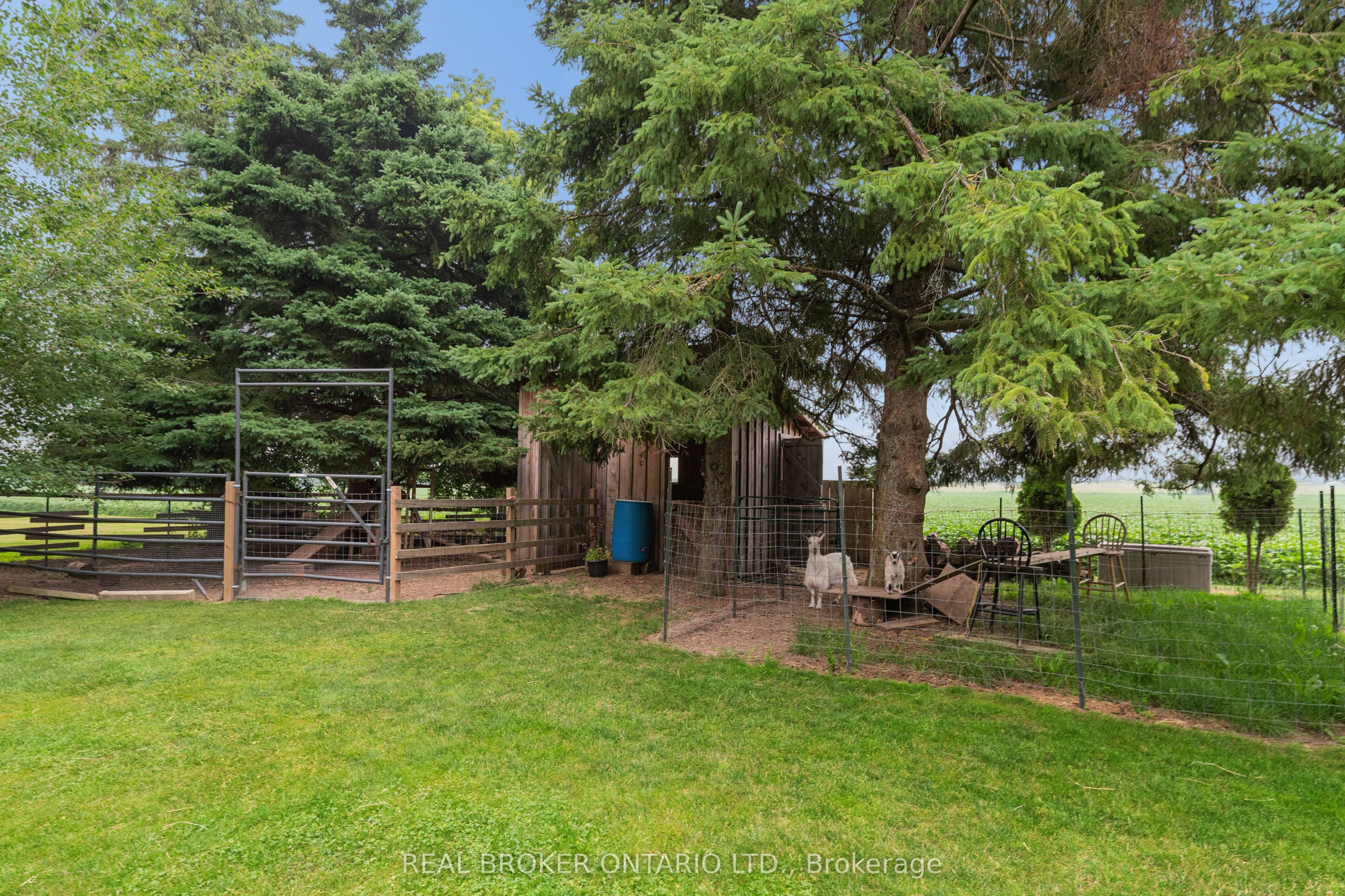 7323 Sideroad 15 Property Photo 45