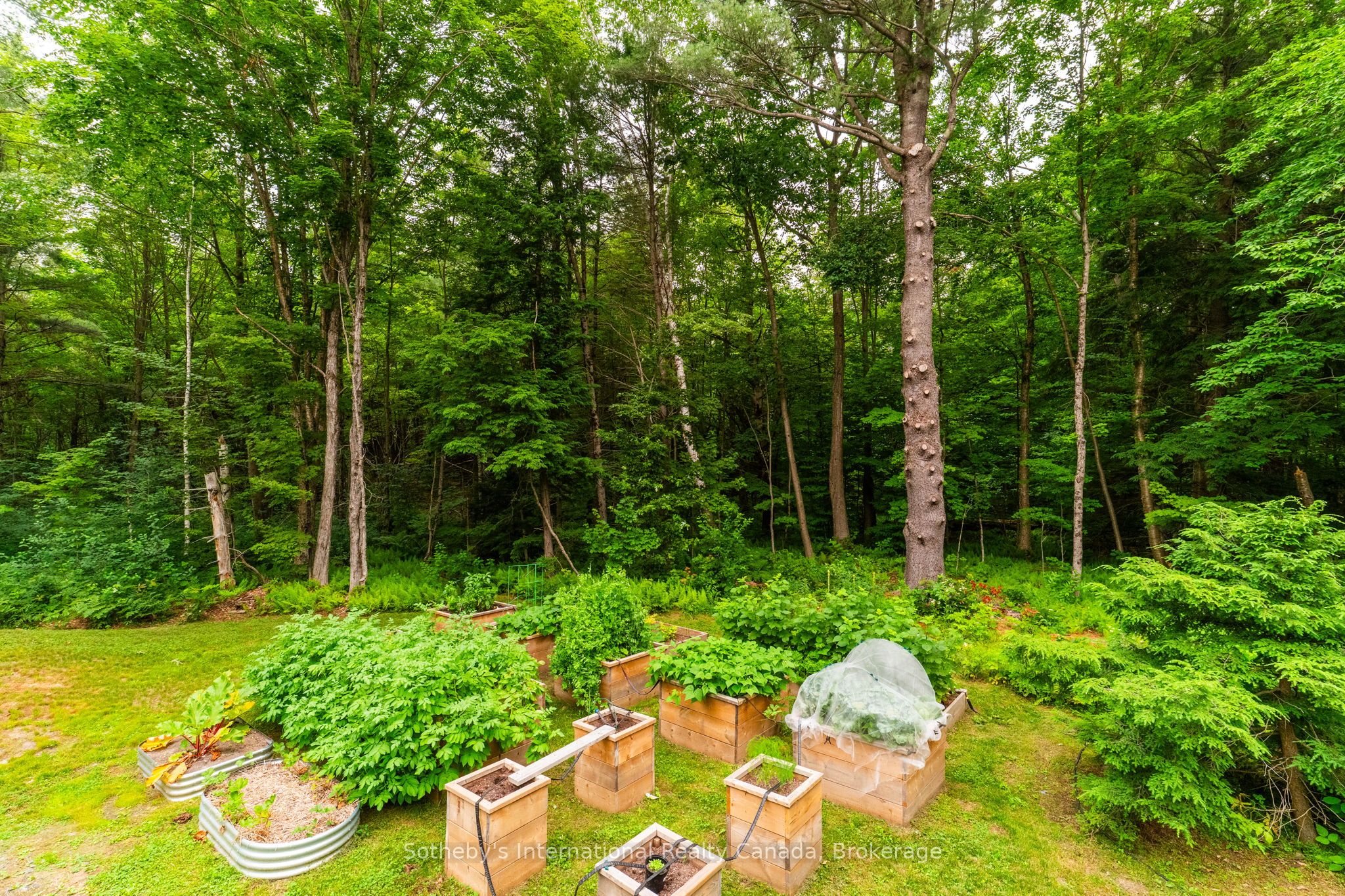 1222 Moon River Road Property Photo 32