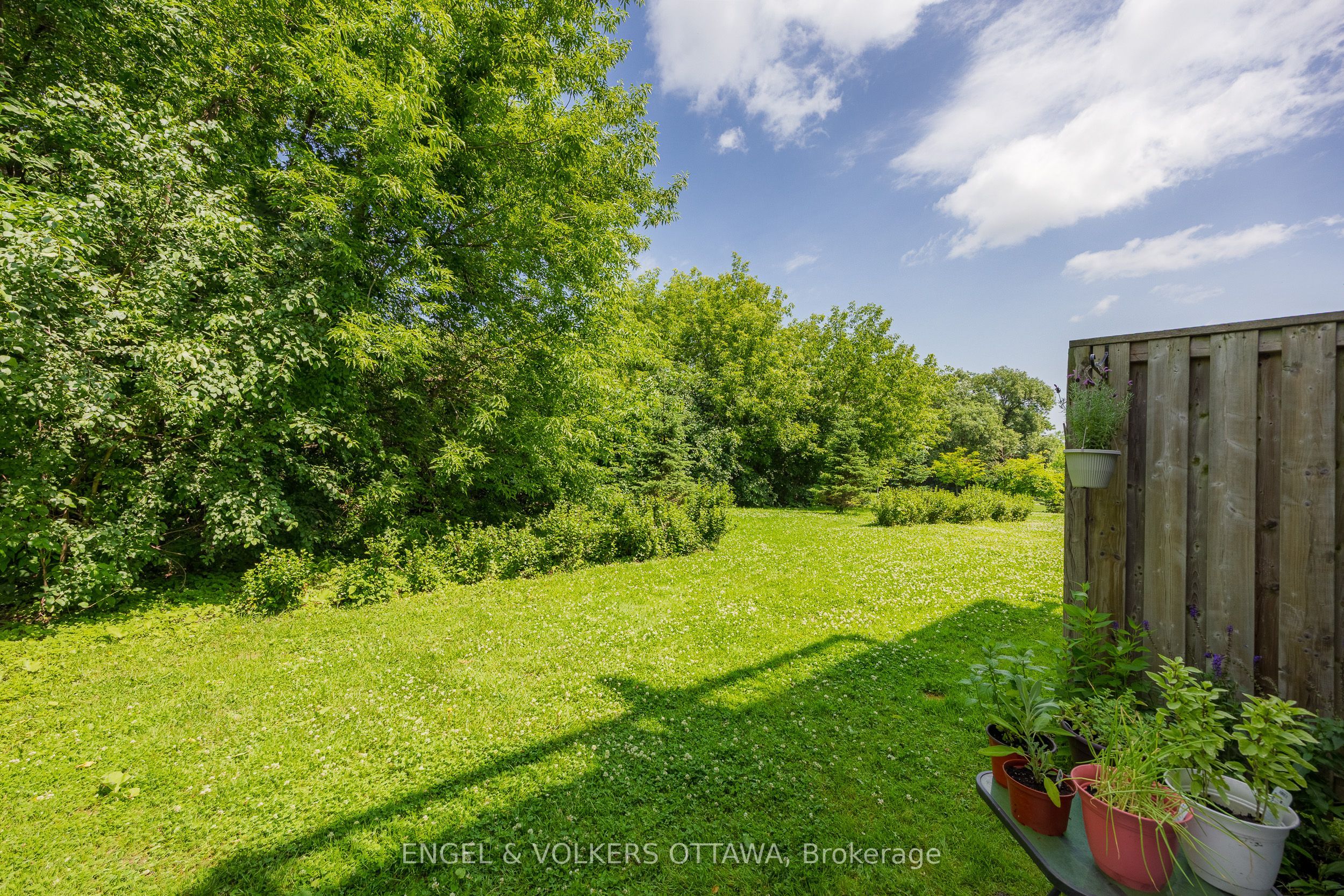 35 Robinson Avenue B Property Photo 18