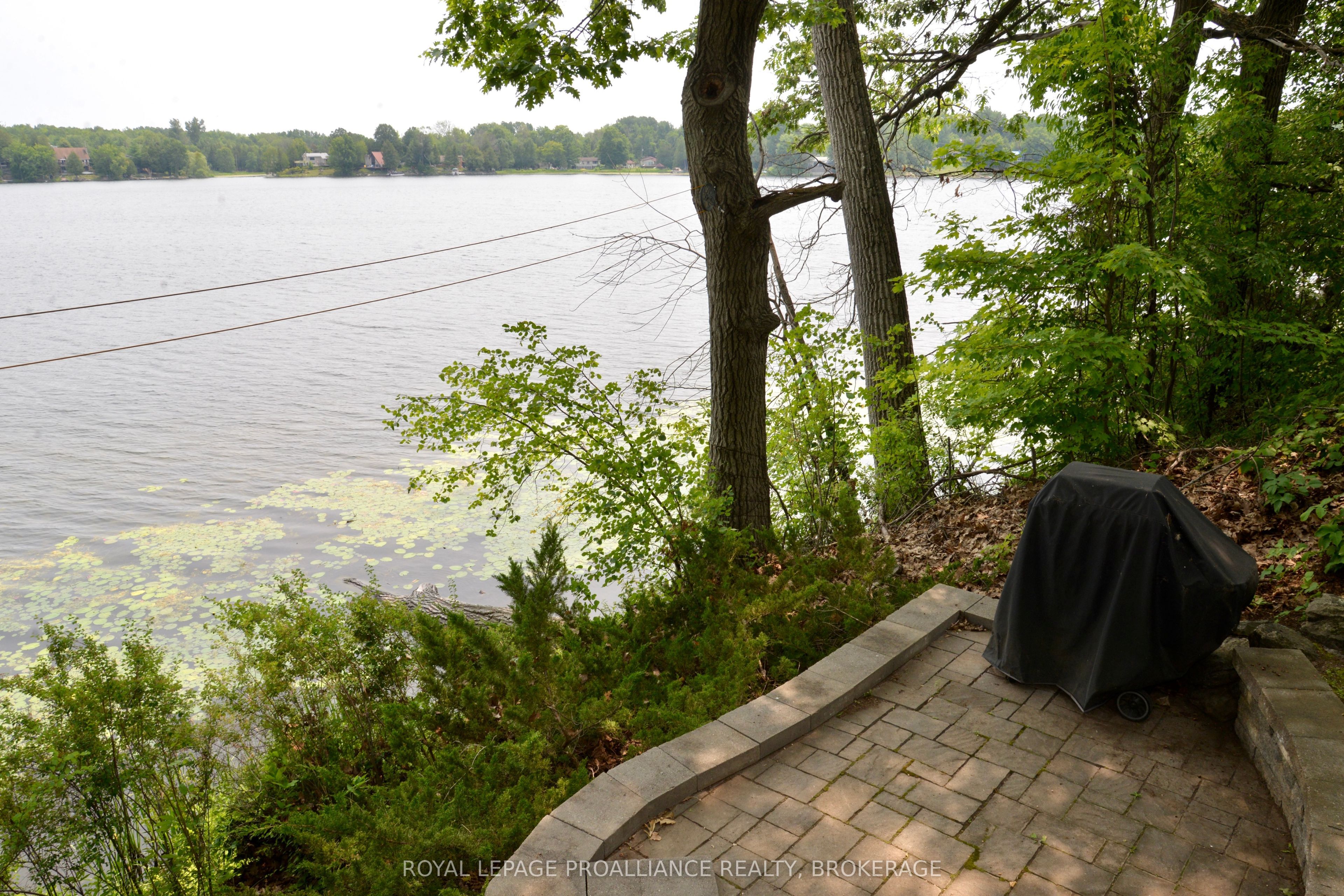 6079 Carleton Drive Property Photo 3