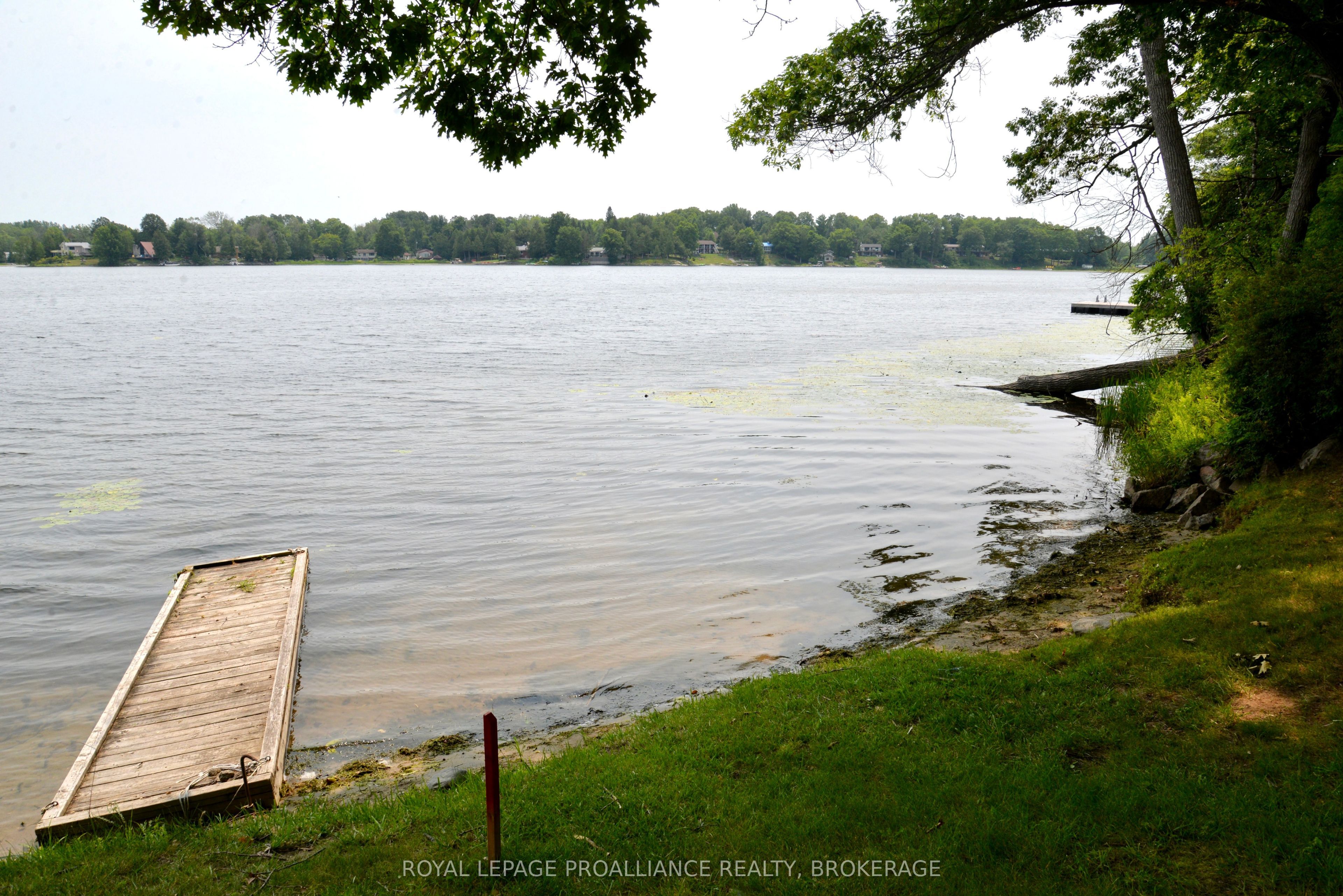 6079 Carleton Drive Property Photo 4