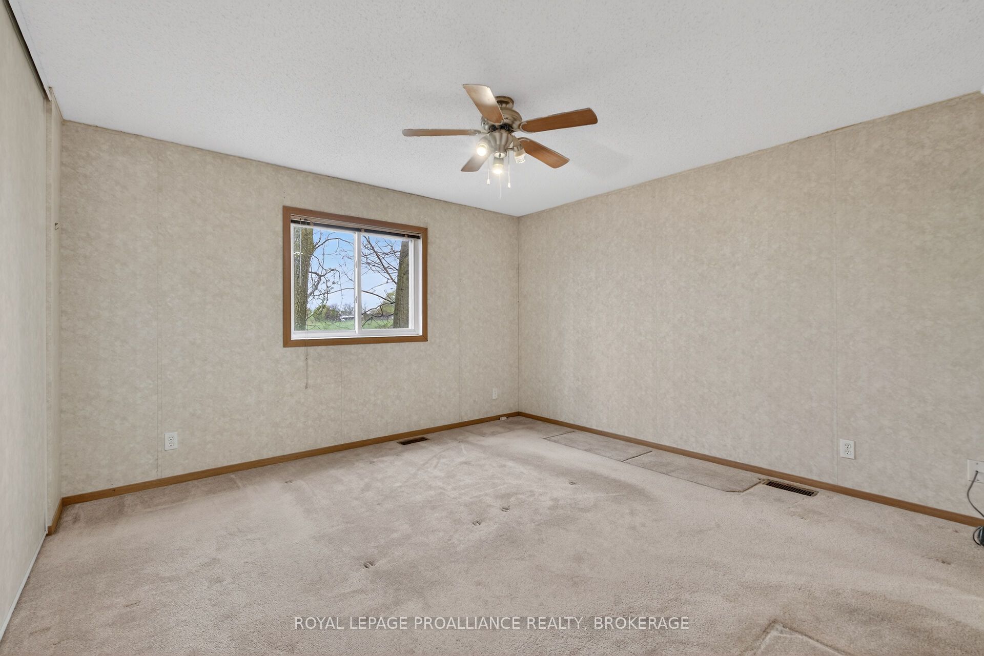 1 Elm Street Property Photo 20