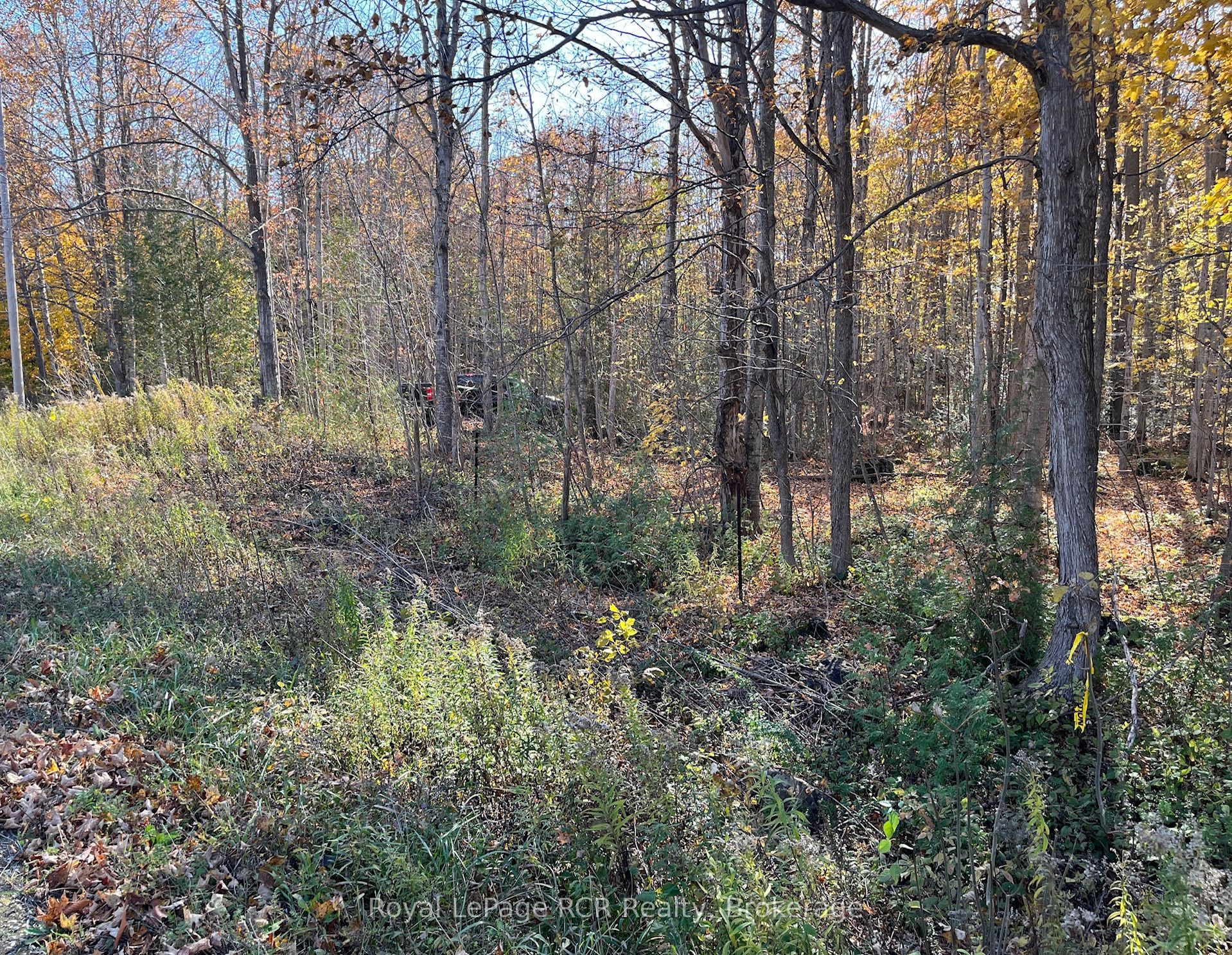 Part Lot 17 Grey Road 17 Road E Property Photo 4