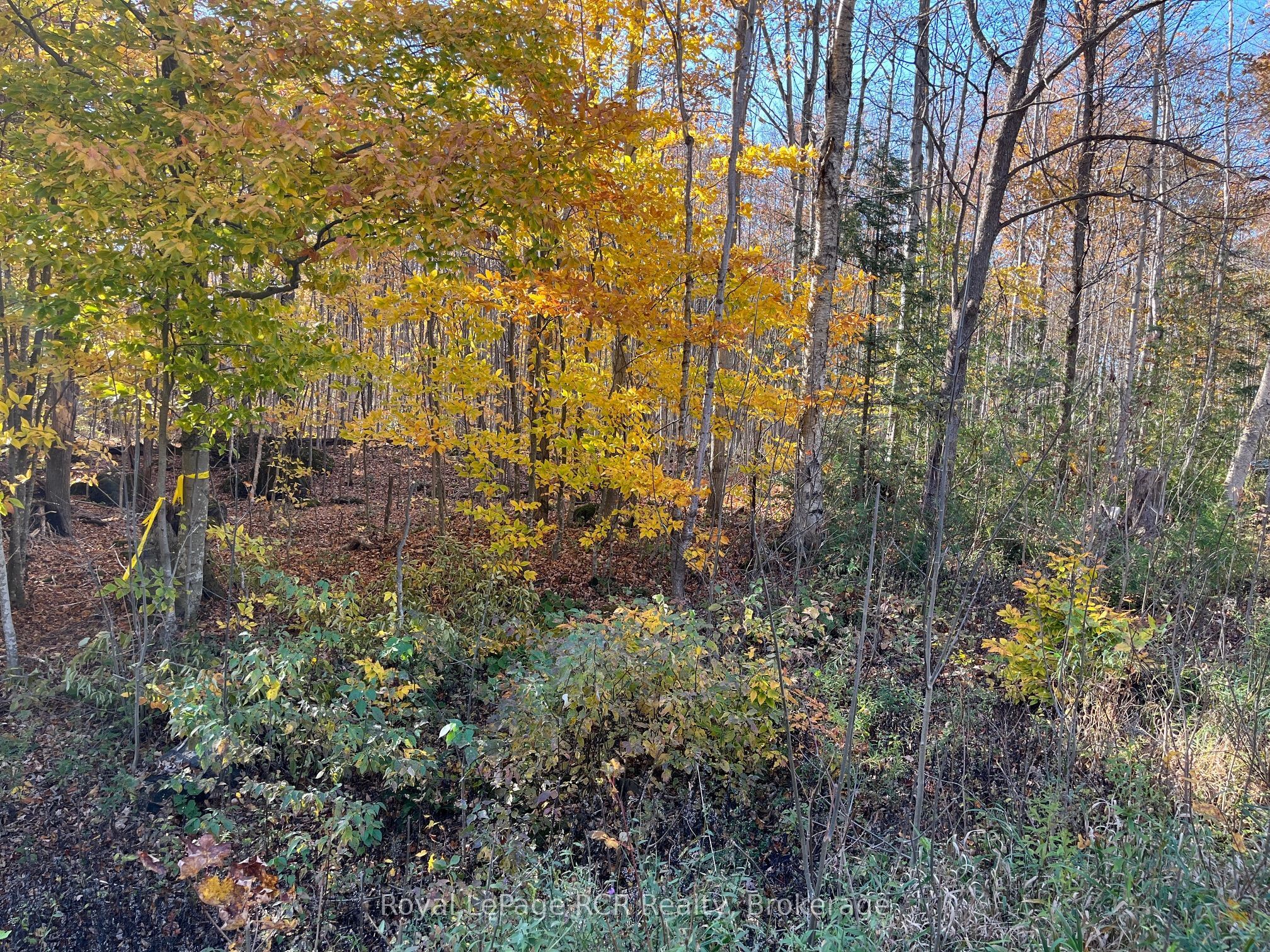 Part Lot 17 Grey Road 17 Road E Property Photo 6
