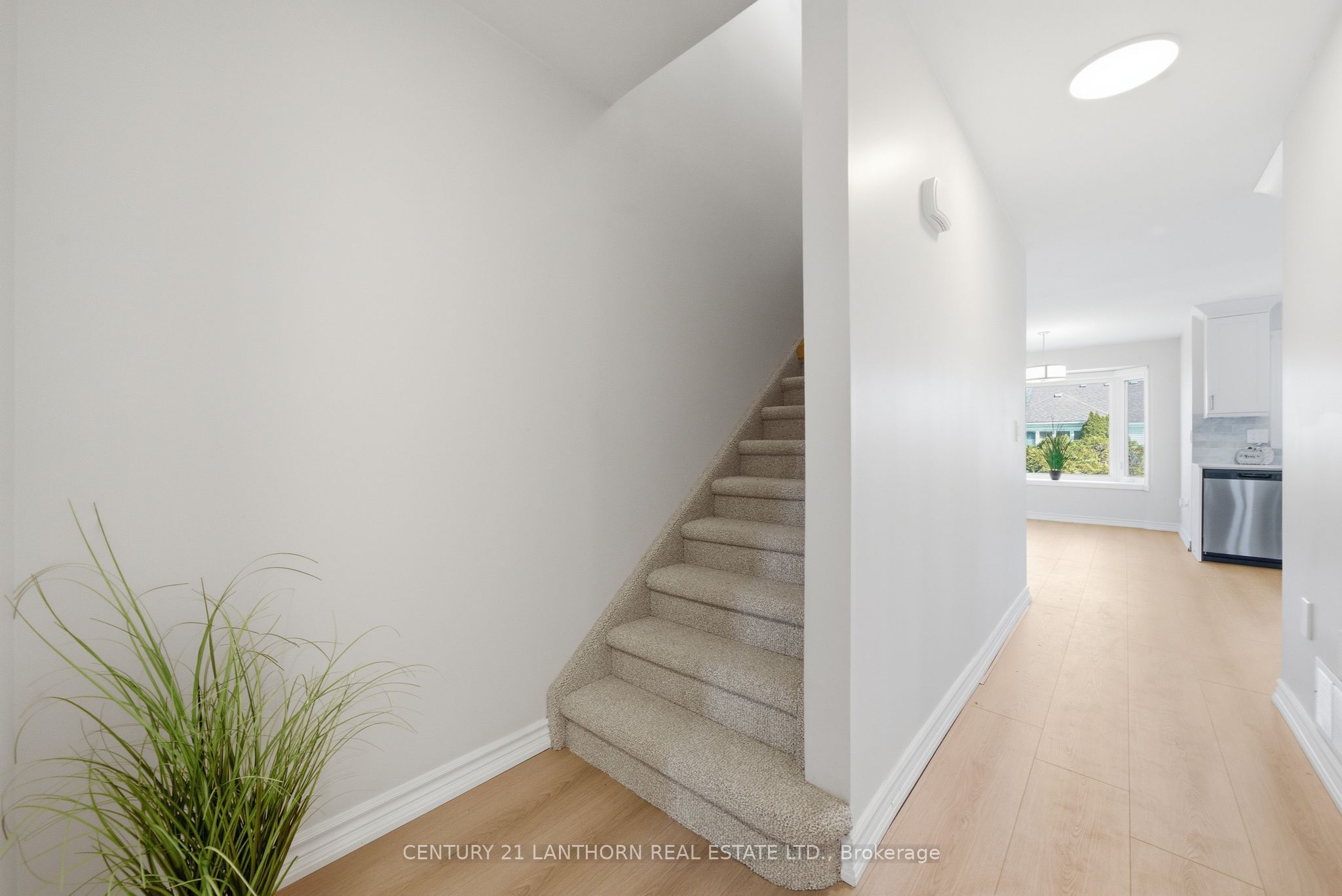 13 Nesbitt Drive Property Photo 27