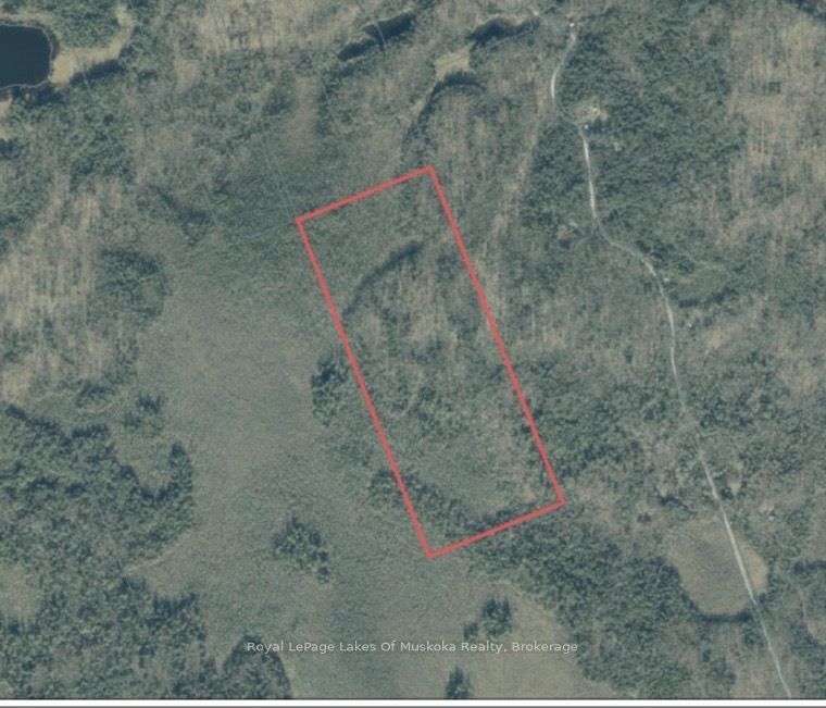 0 Axe Lake Road Property Photo 5