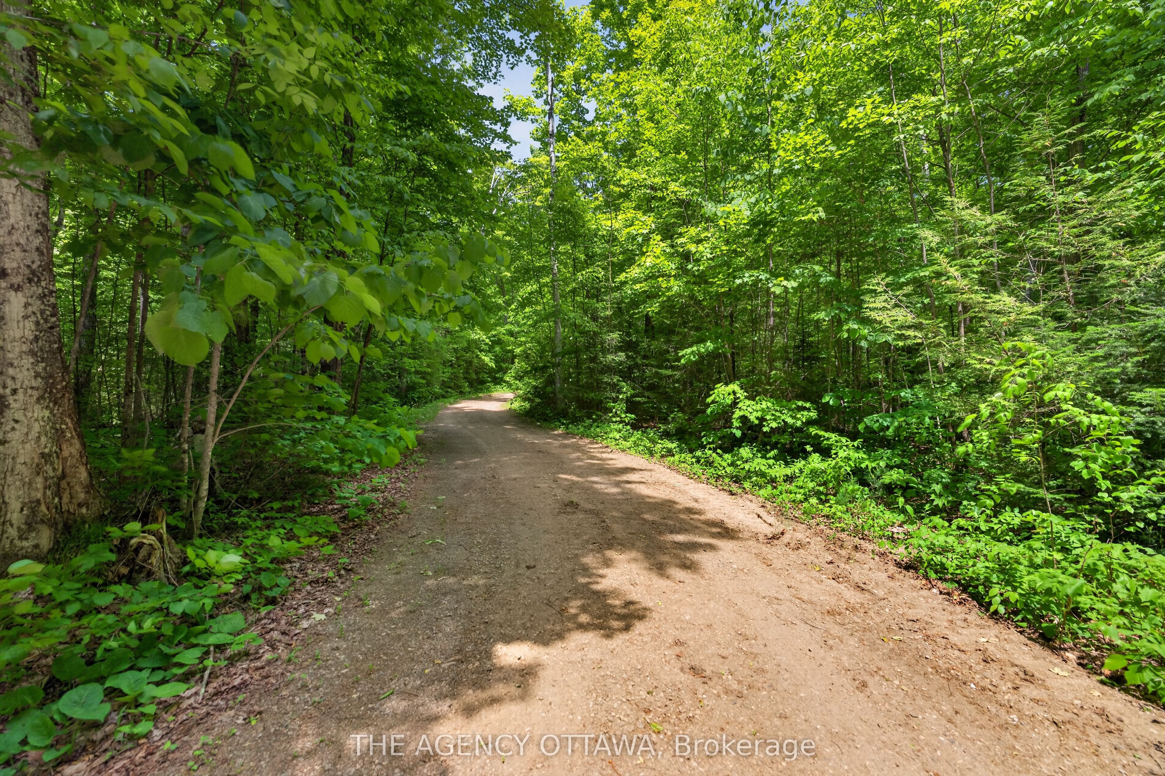 1137 Markinspa Lane Property Photo 38