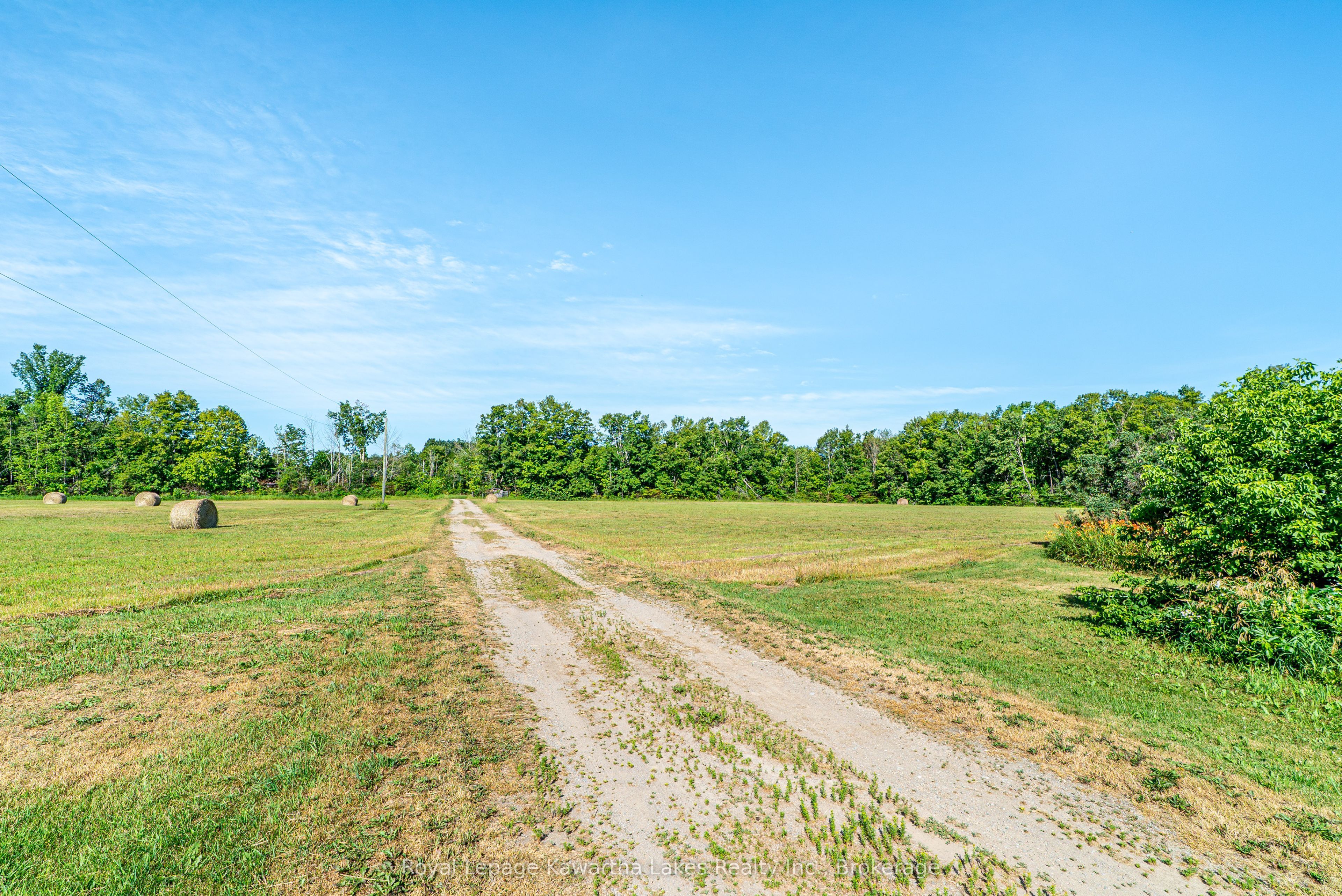 164 Sugar Bush Road Property Photo 19