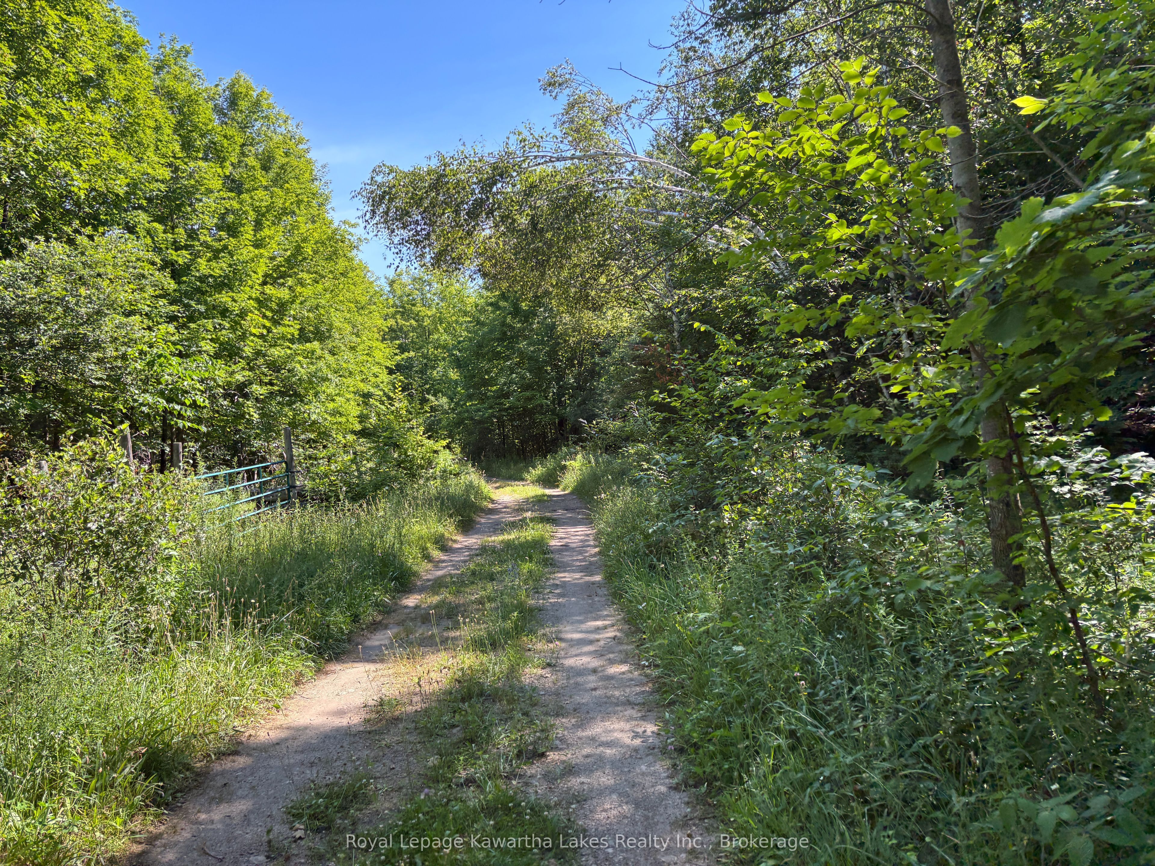 164 Sugar Bush Road Property Photo 29