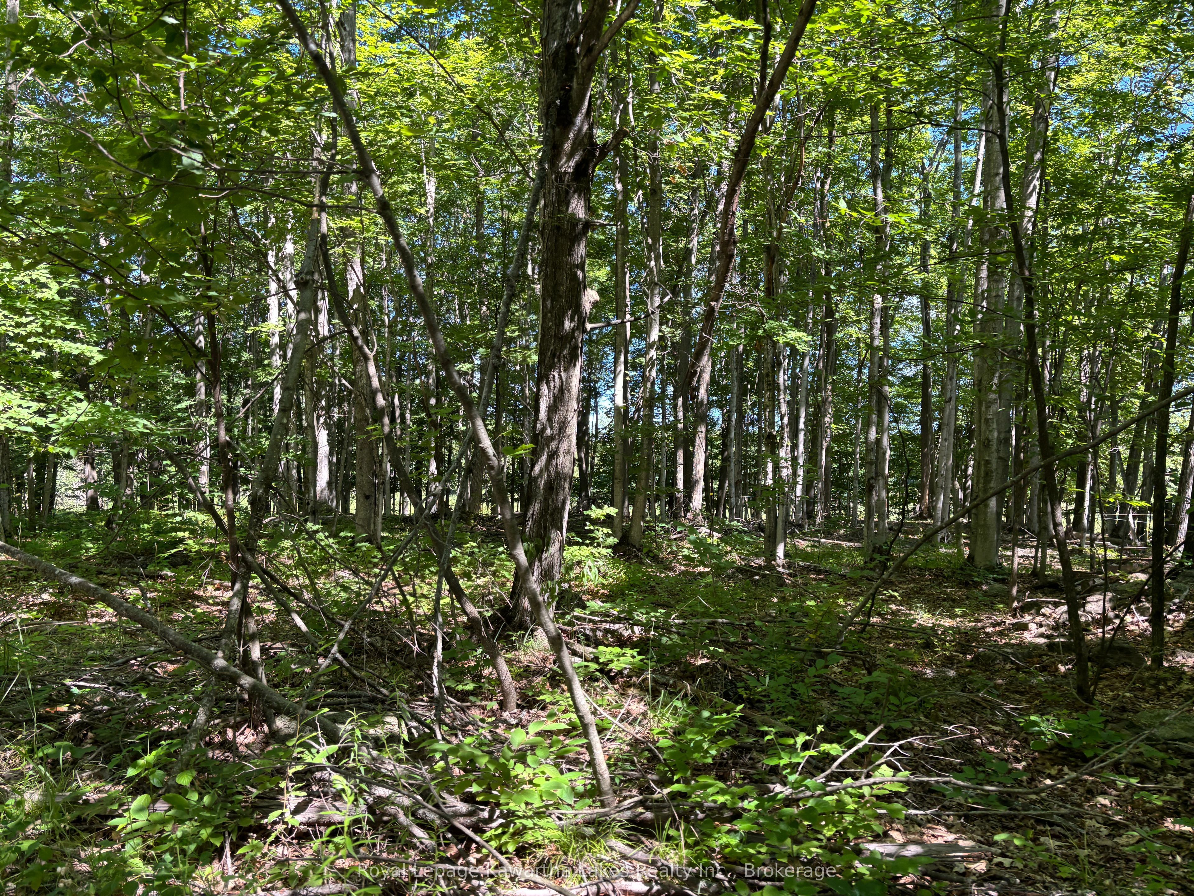164 Sugar Bush Road Property Photo 31