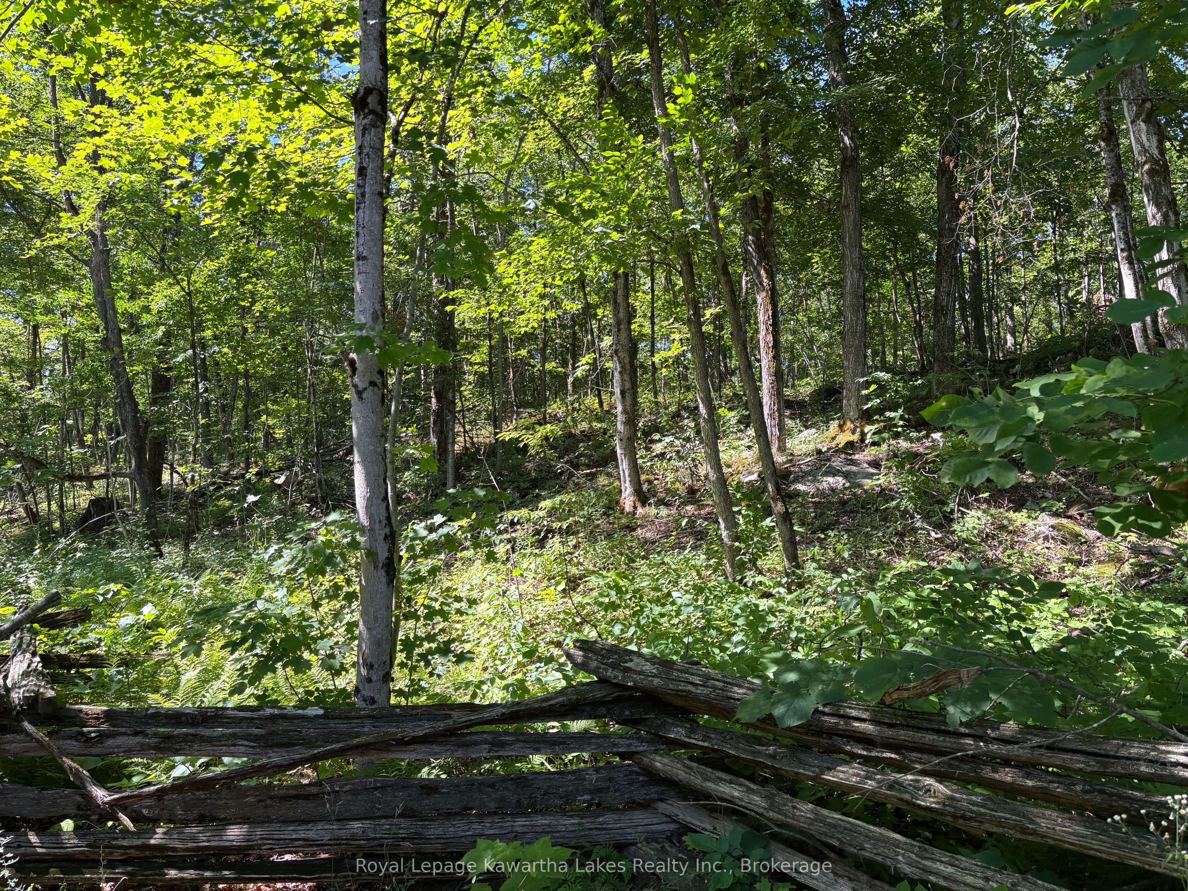 164 Sugar Bush Road Property Photo 34