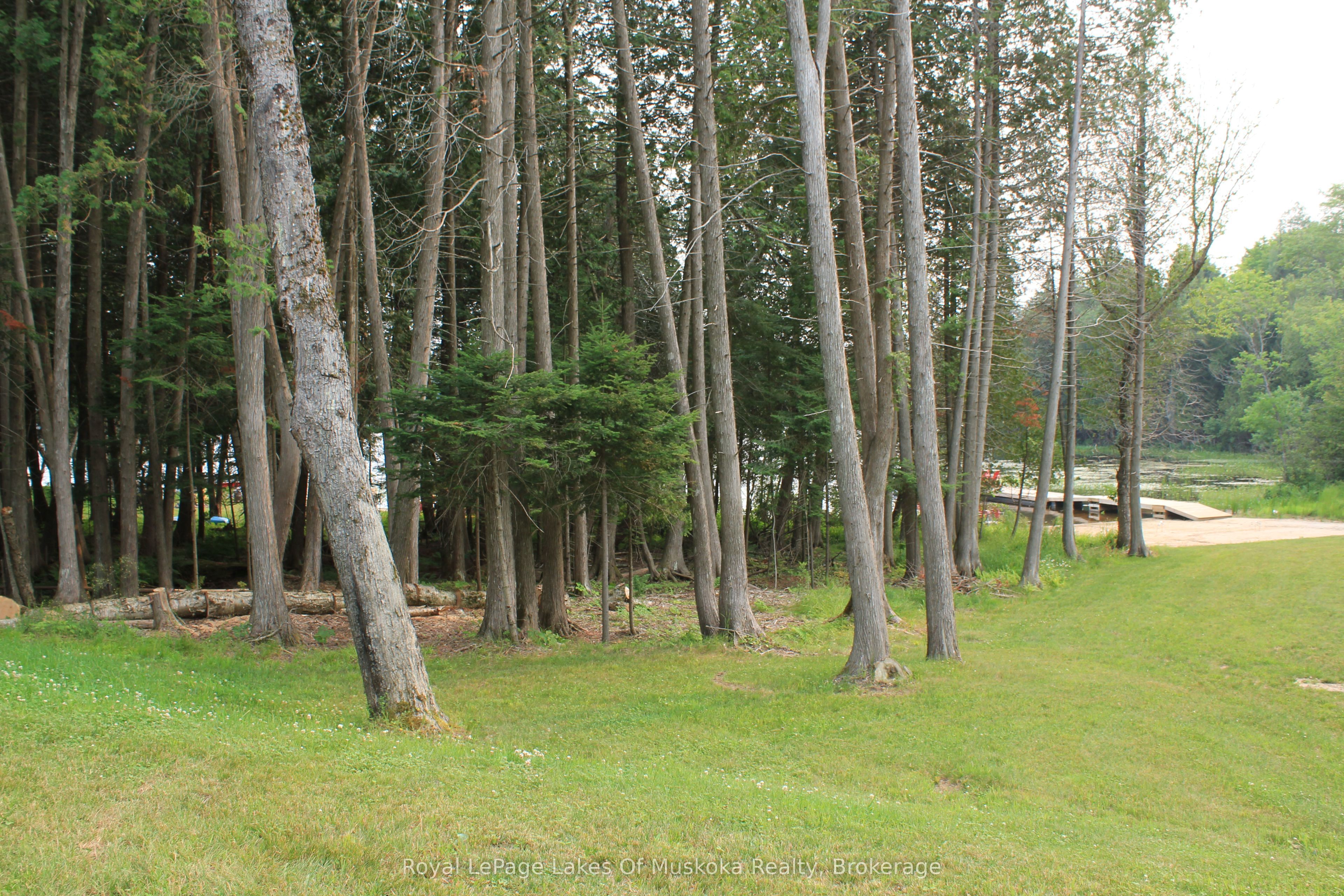 60 Wurm Road Property Photo 36
