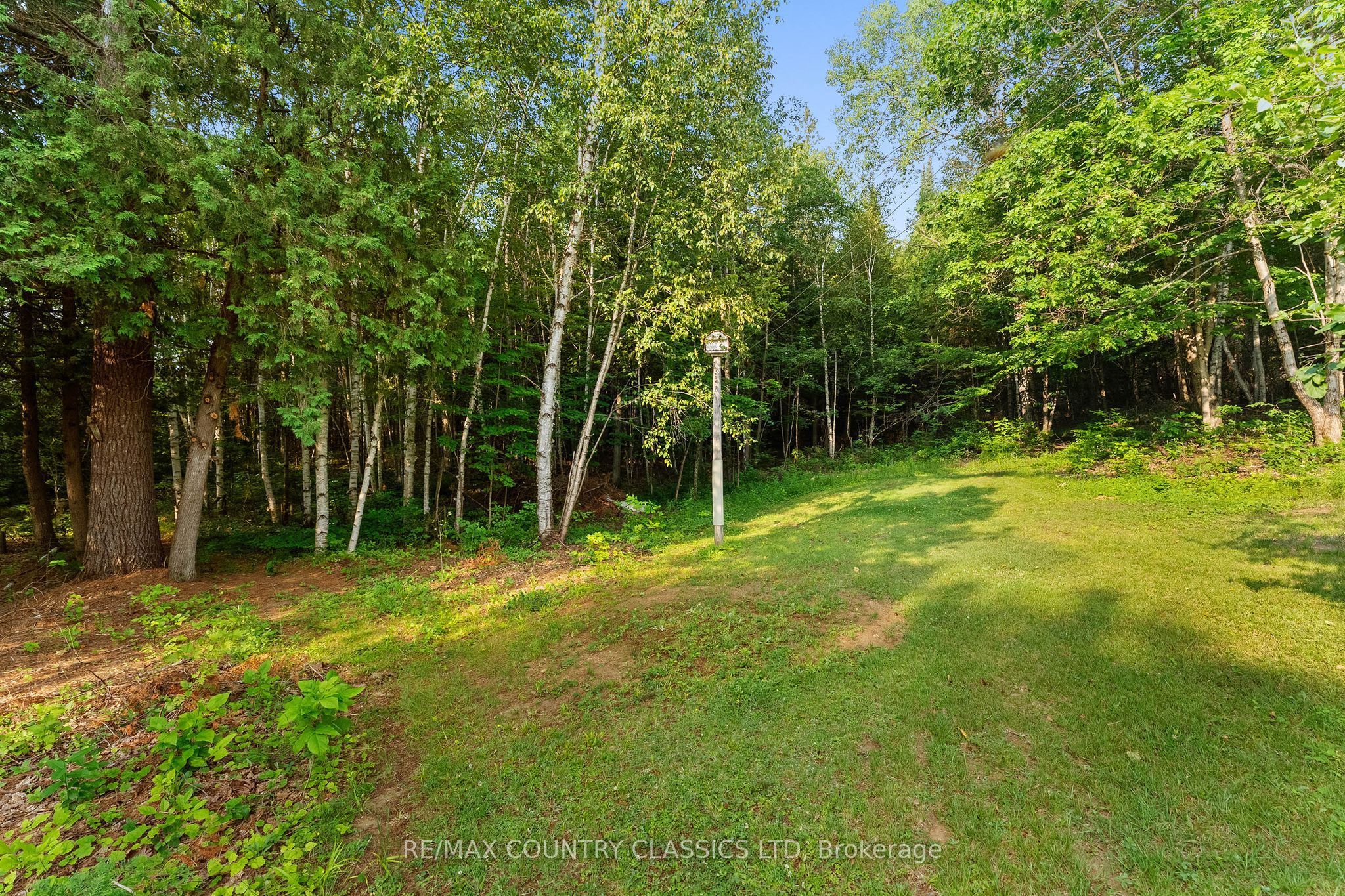528 Hwy No.28 Property Photo 26