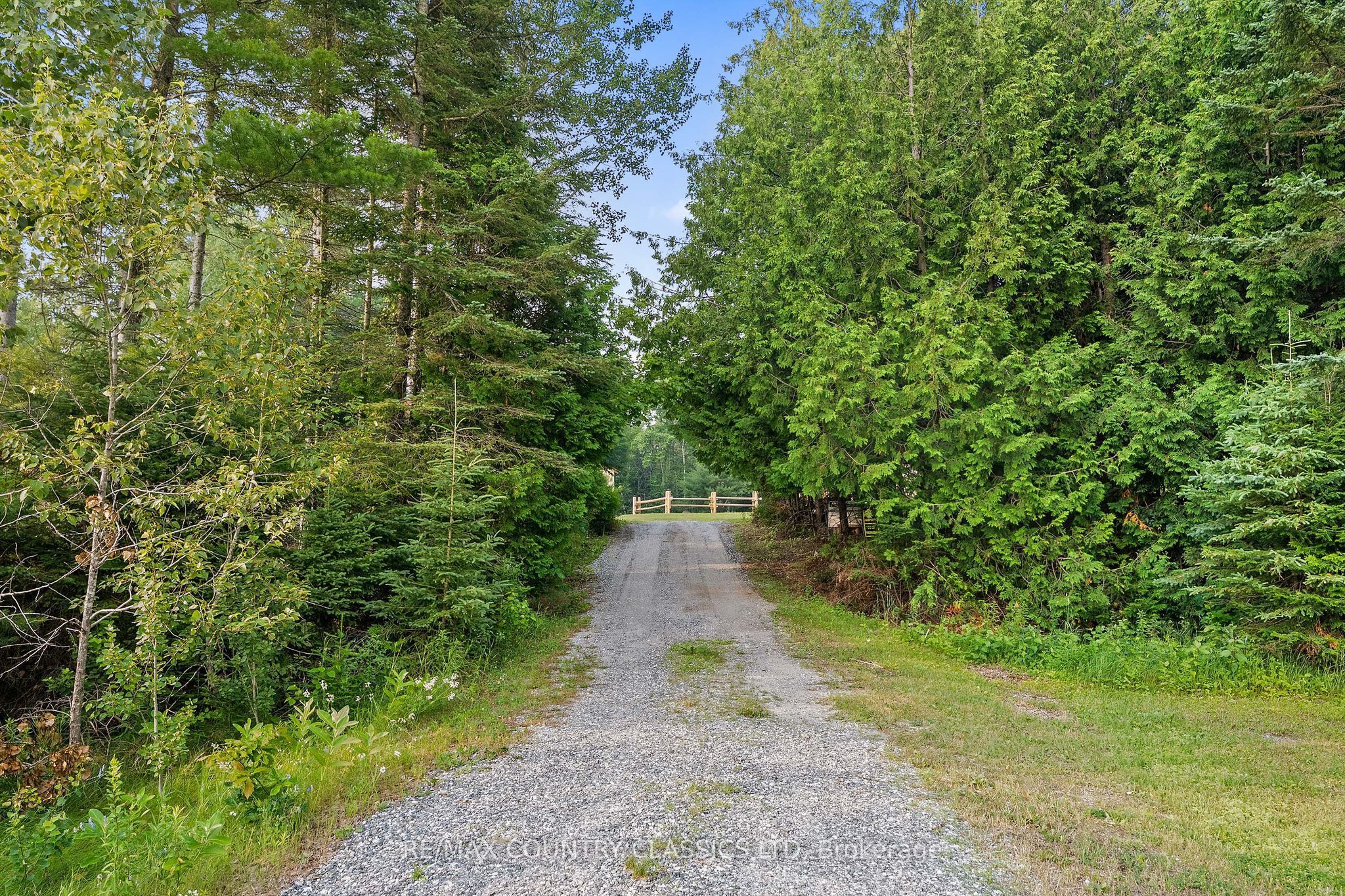 528 Hwy No.28 Property Photo 28