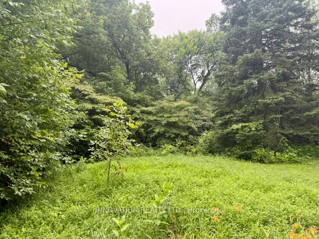 3109 County Road 15 Road Property Photo 3