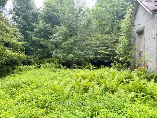 3109 County Road 15 Road Property Photo 6