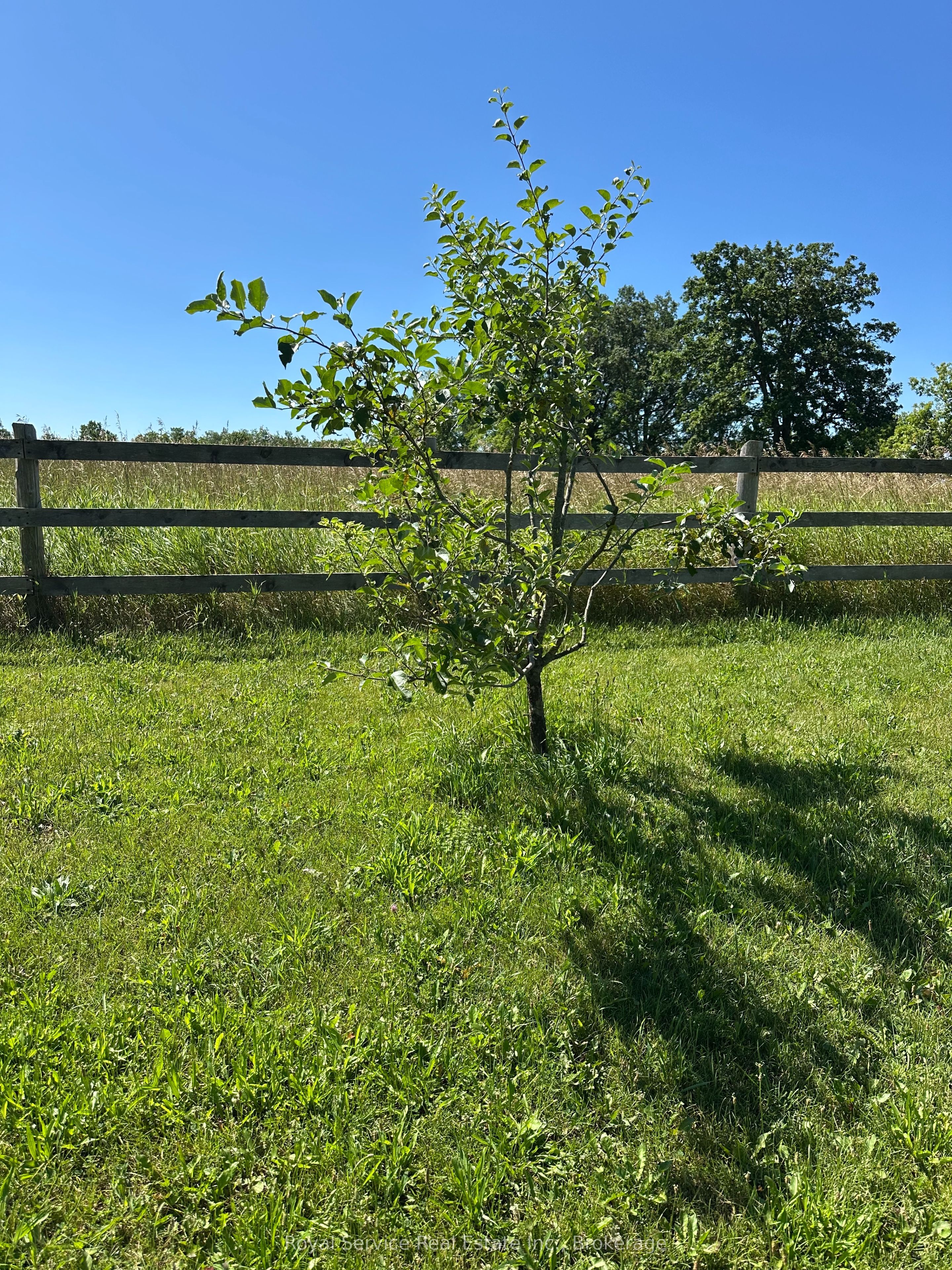 164 Bateman Road Property Photo 12