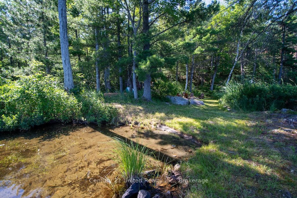 174 Fire Route 55 Property Photo 36