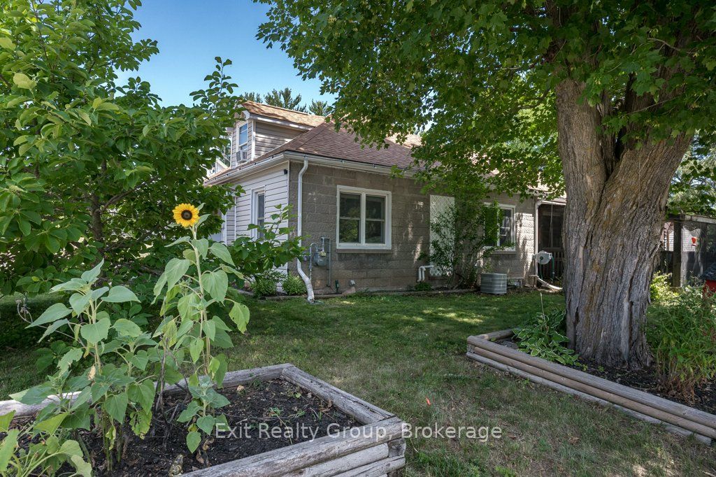 45 Mcclellan Street Property Photo 24