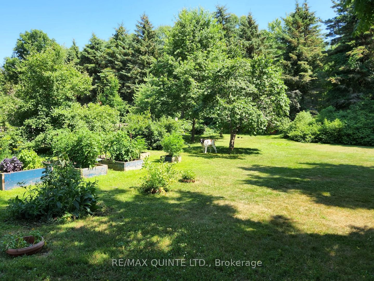 163 Main Street Property Photo 34