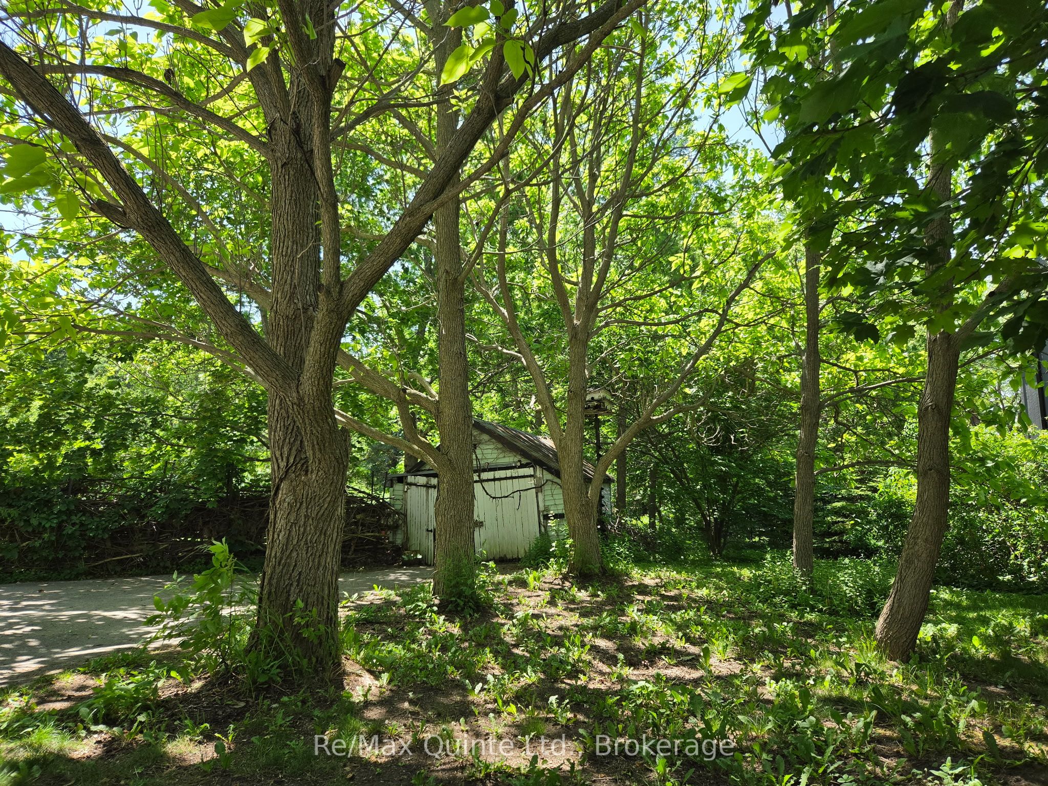 163 Main Street Property Photo 41