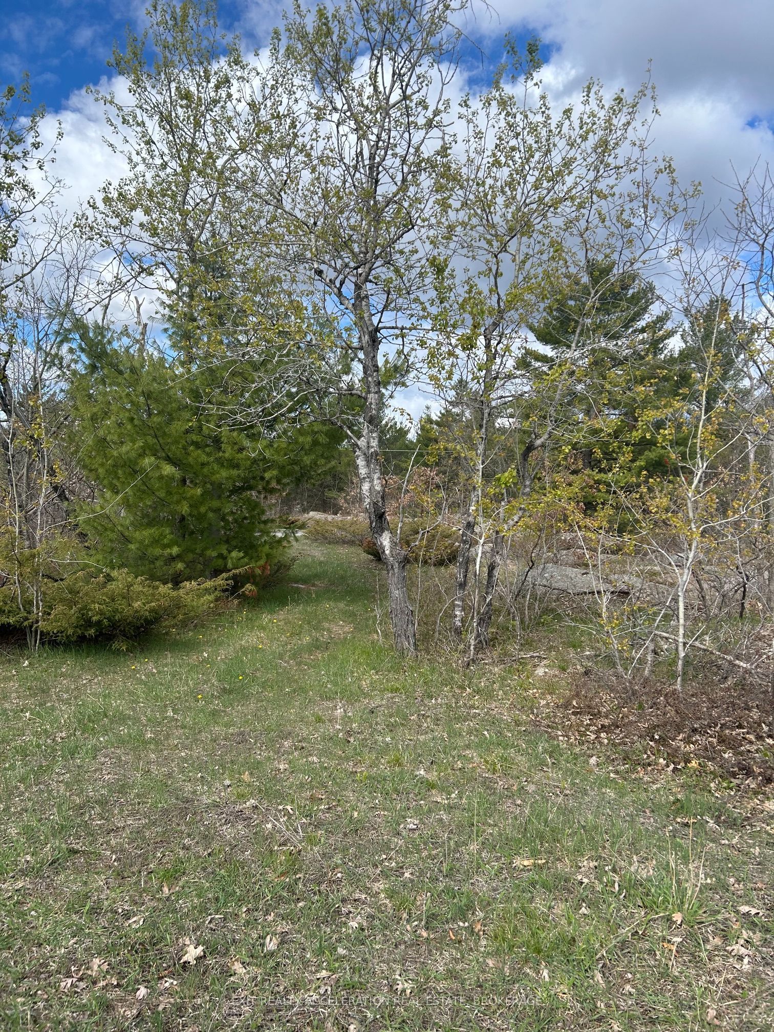 0 Dwyer Lane Property Photo 6
