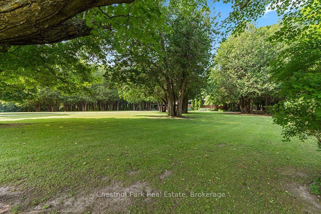 403123 Grey 4 Road Property Photo 46
