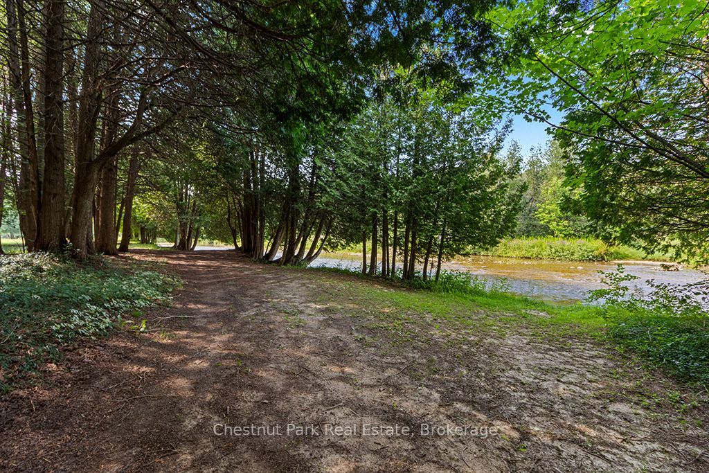 403123 Grey 4 Road Property Photo 47