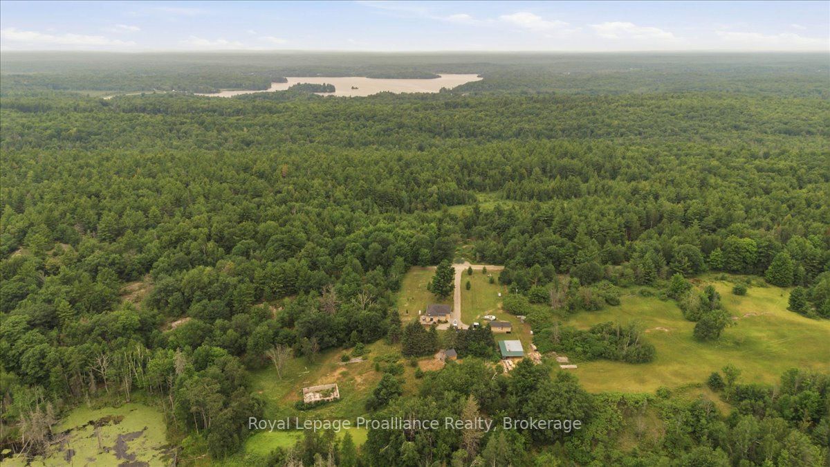 2017 Clark Road Property Photo 46