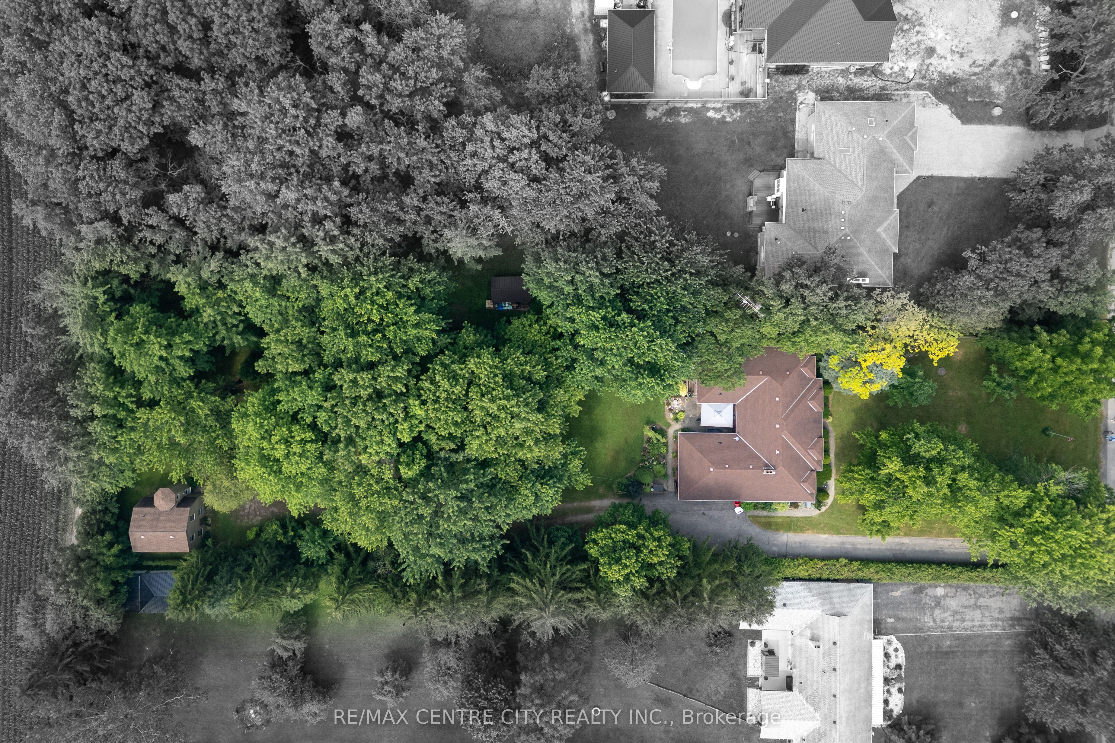 42067 Ferguson Line Property Photo 4