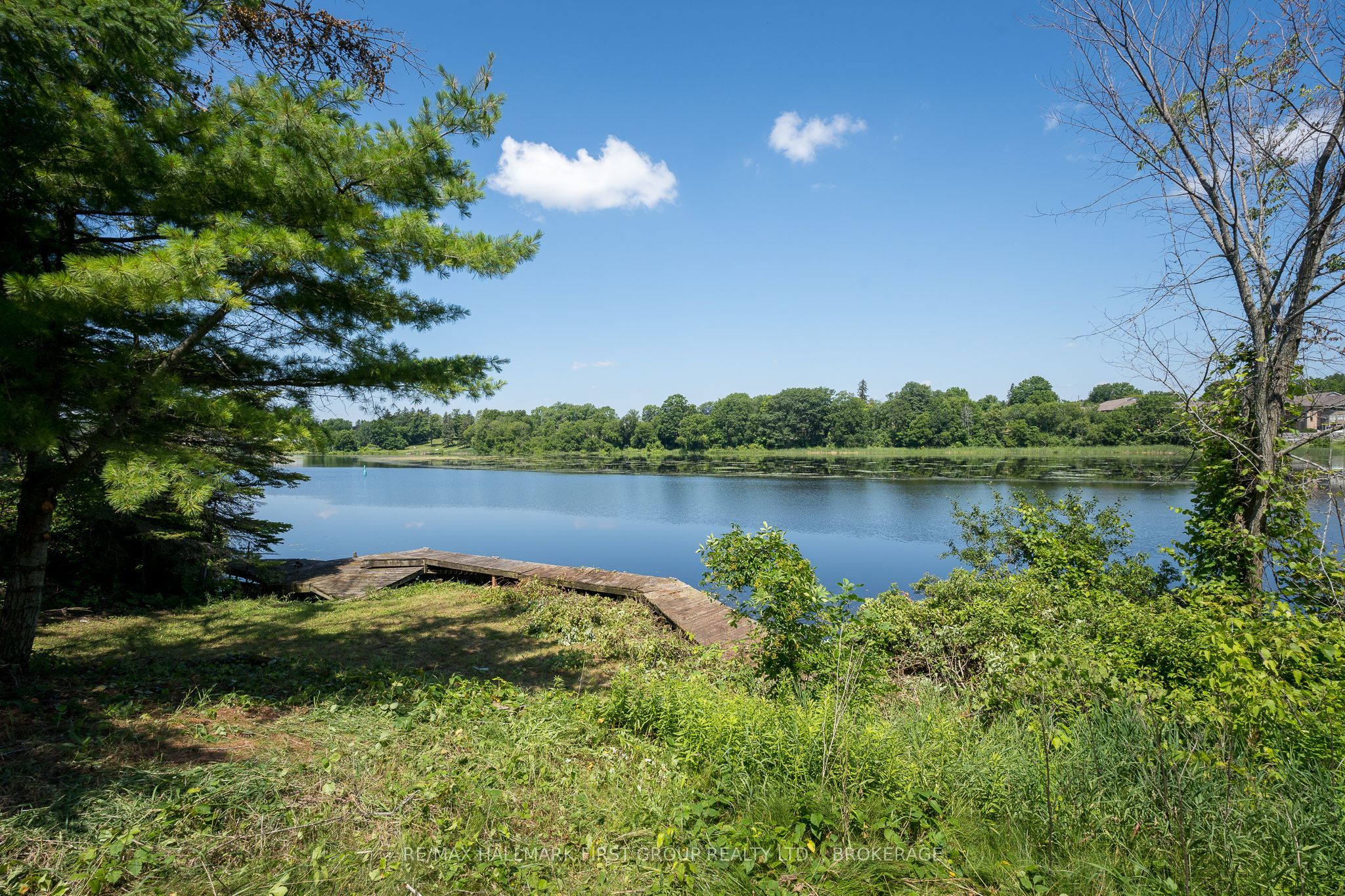 269 River Road Property Photo 24