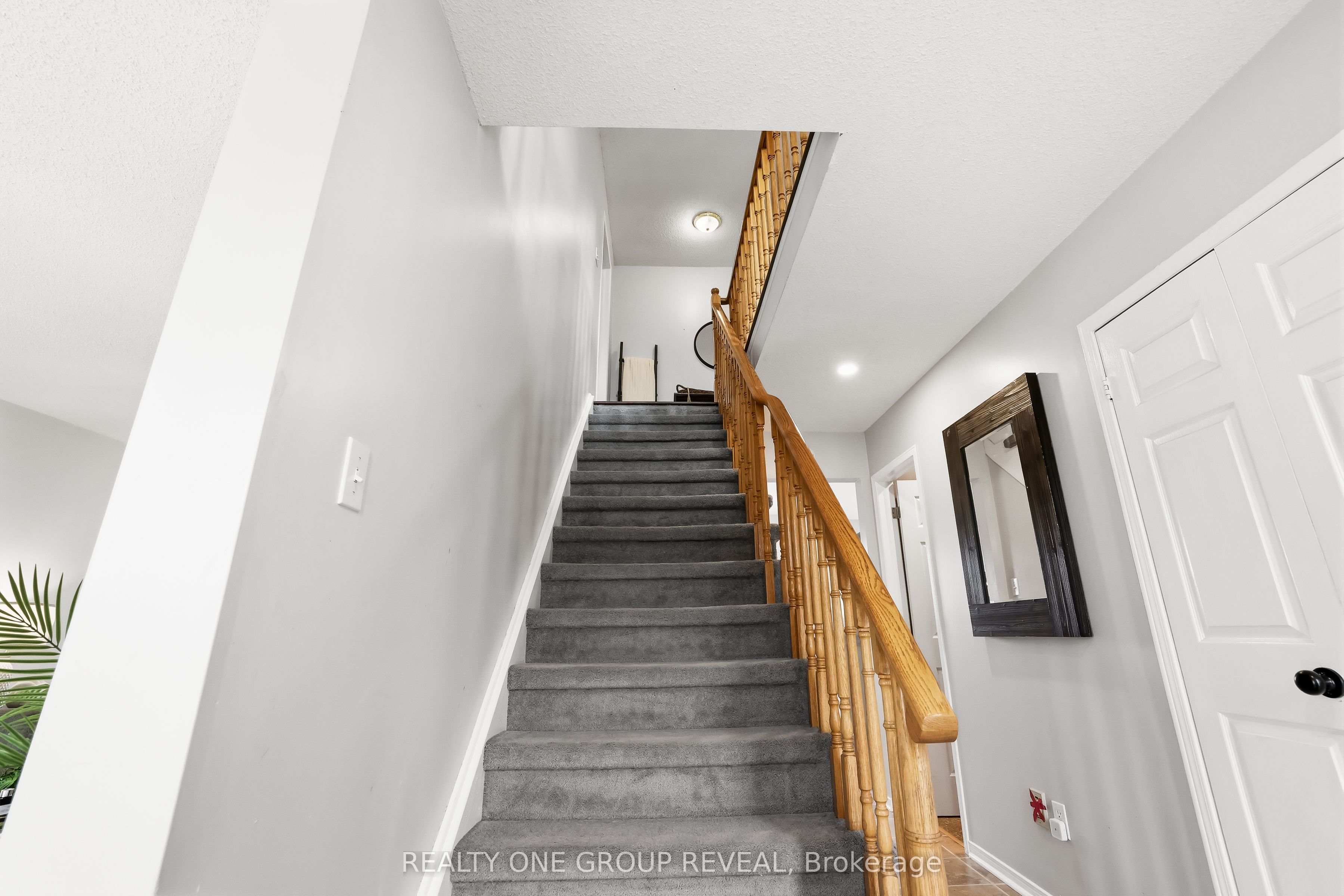 2 Mancini Dr Drive Property Photo 27