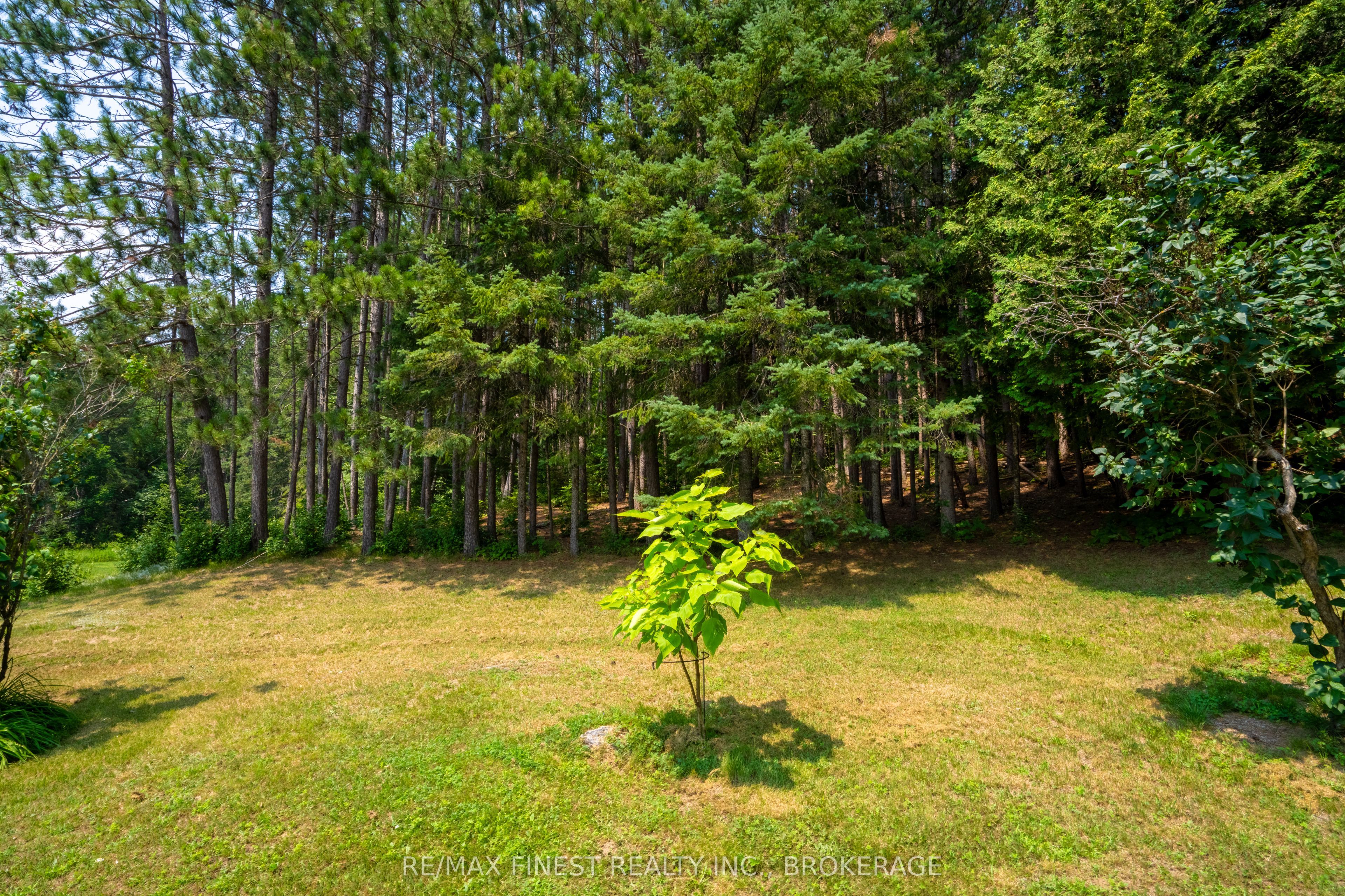 1031 James Road Property Photo 7