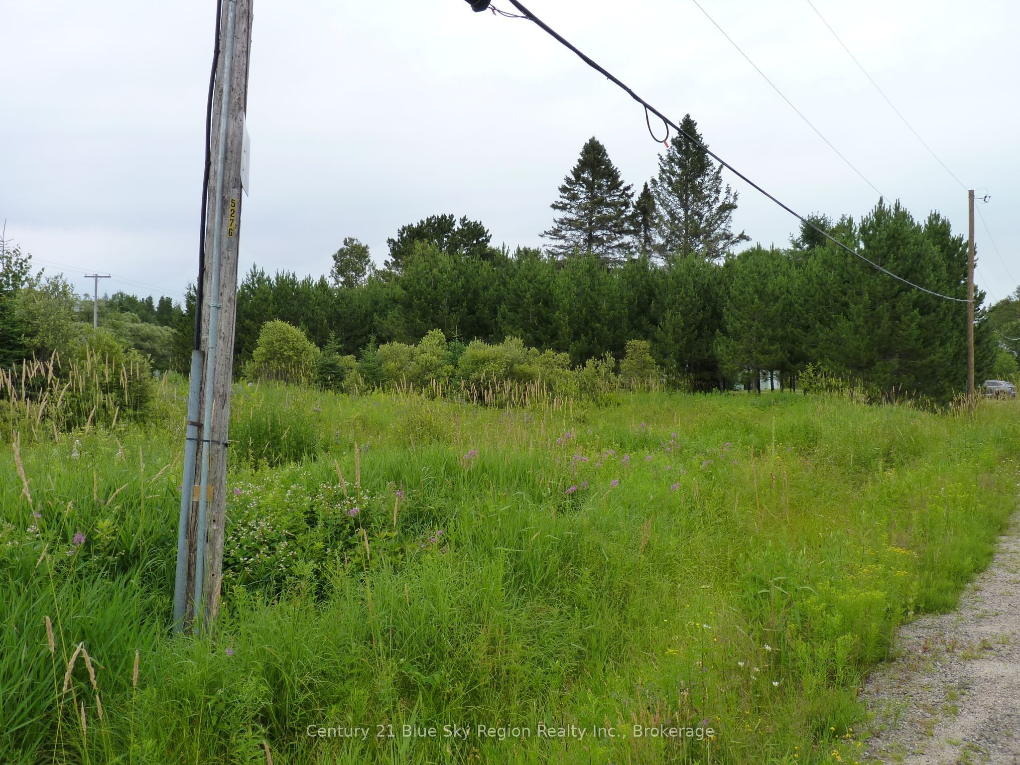 50 Feronia Road Property Photo 7