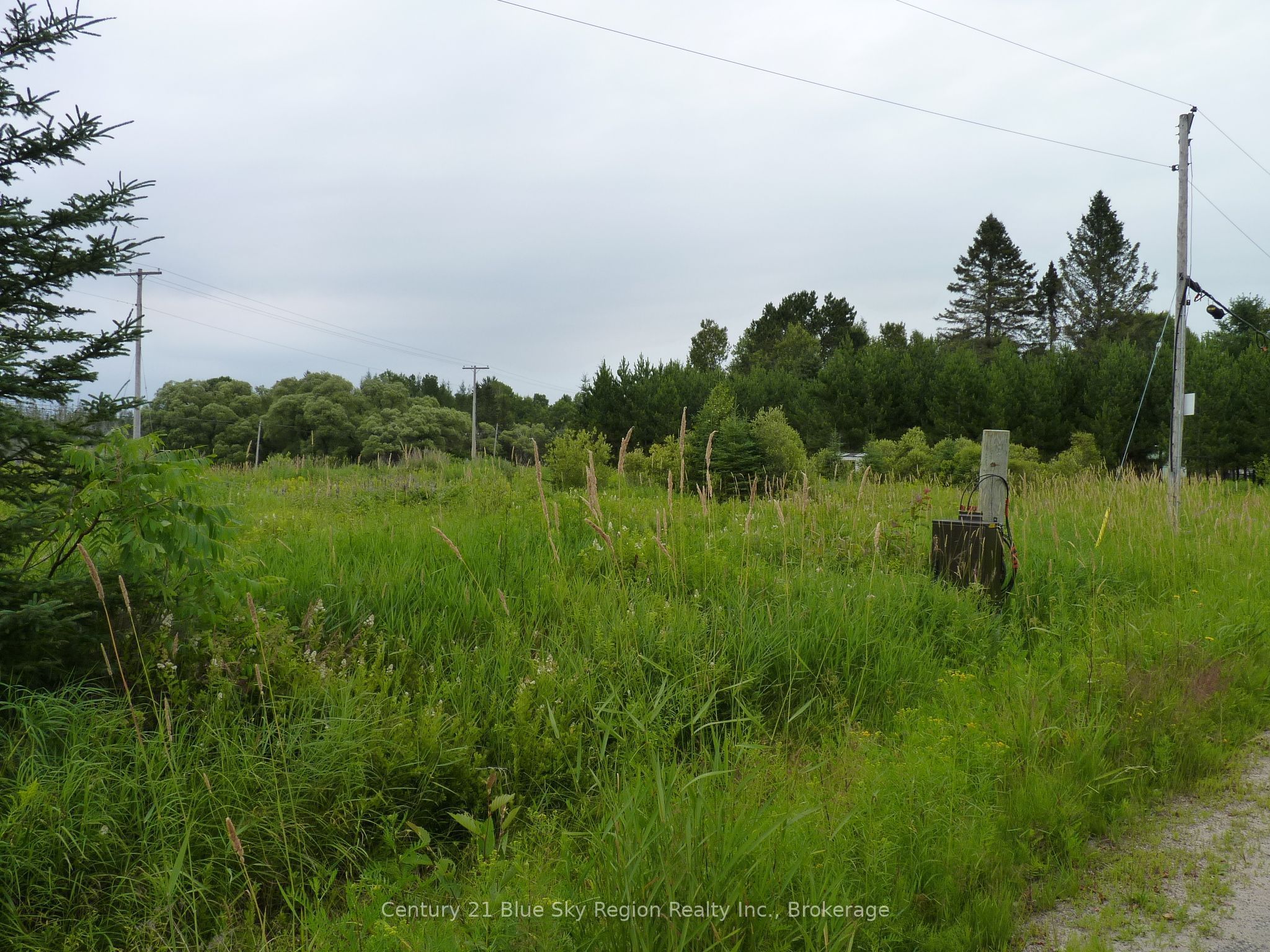 50 Feronia Road Property Photo 8