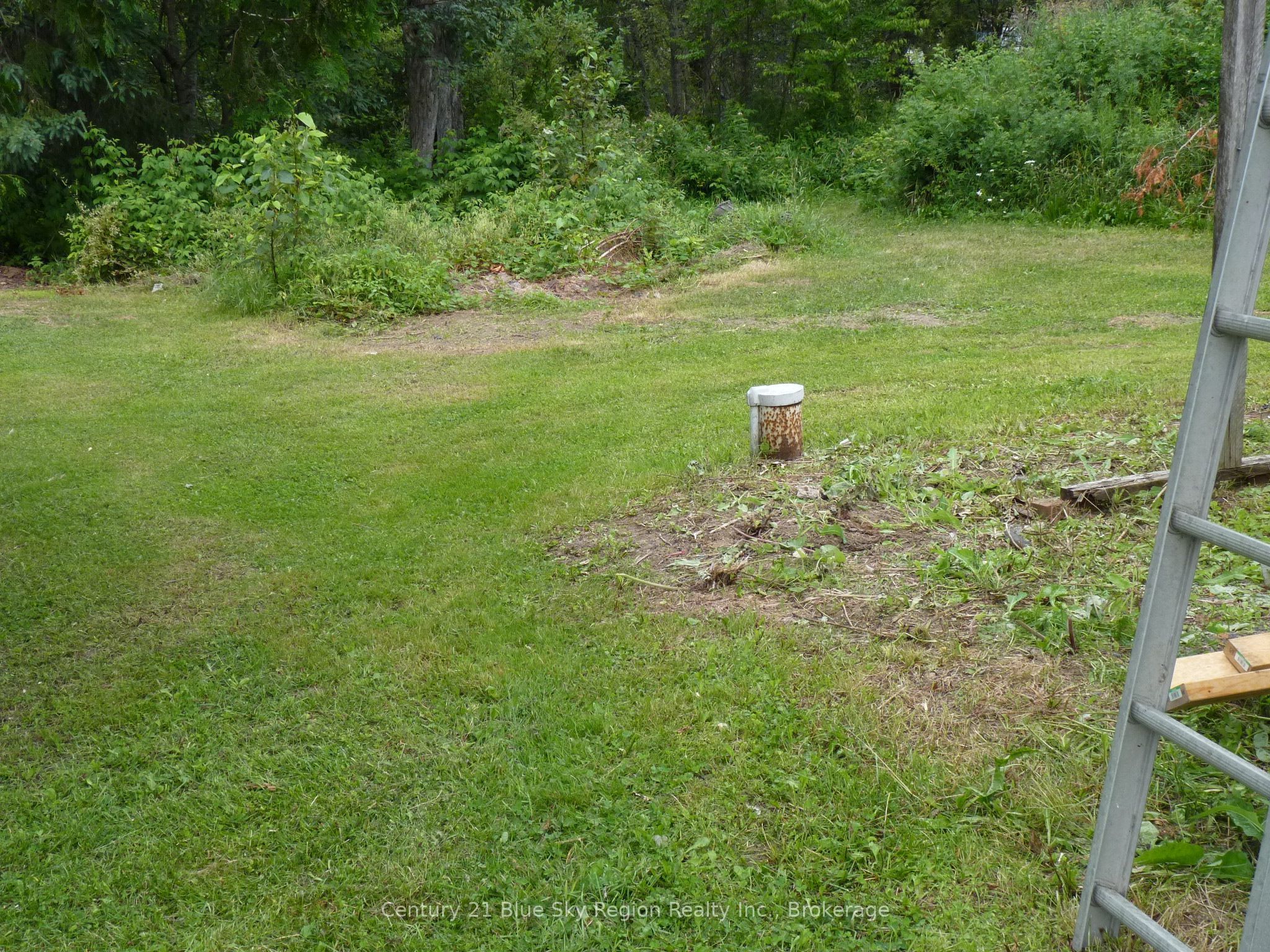 50 Feronia Road Property Photo 14