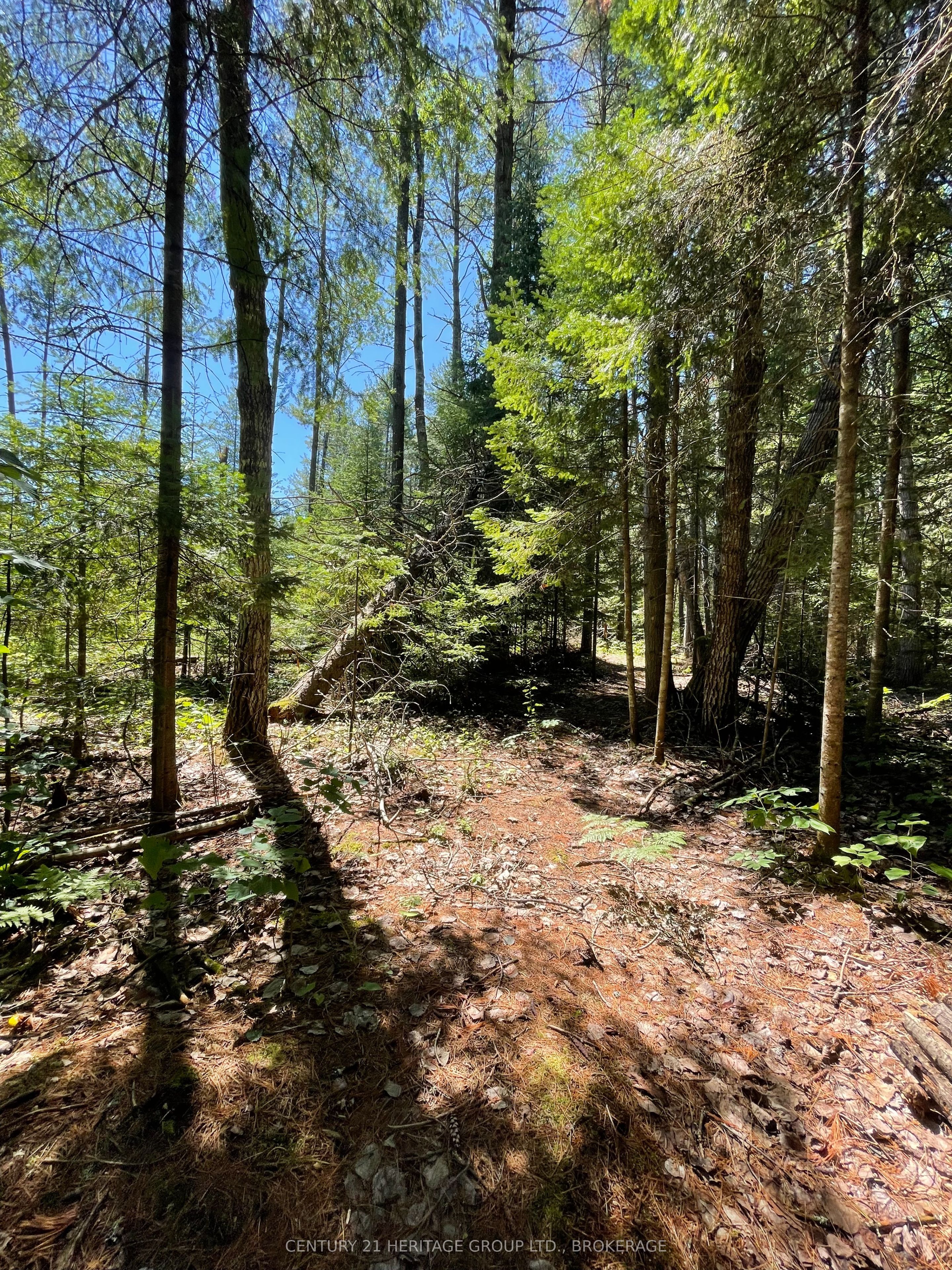 19473 41 Highway Property Photo 12