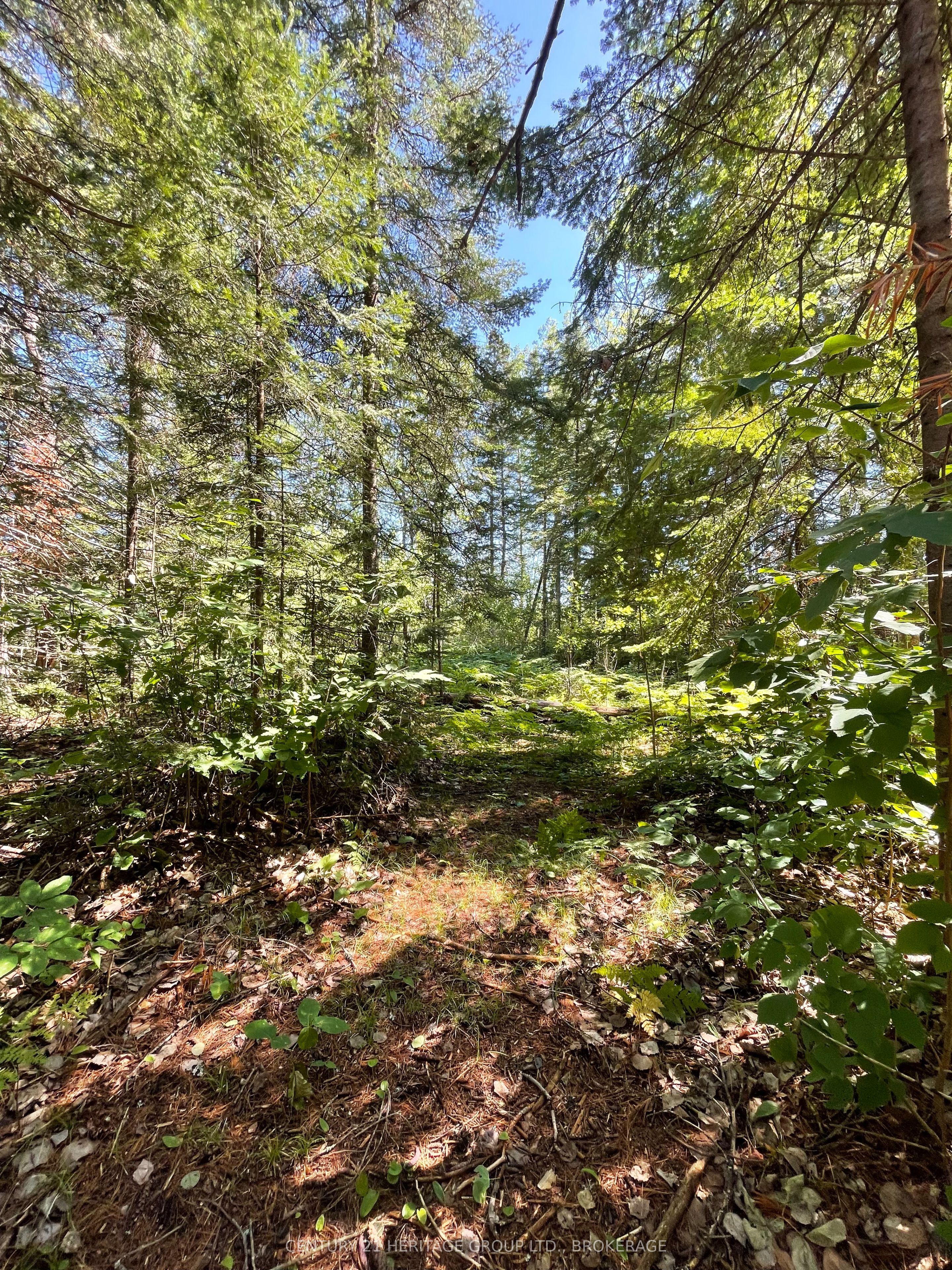 19473 41 Highway Property Photo 13