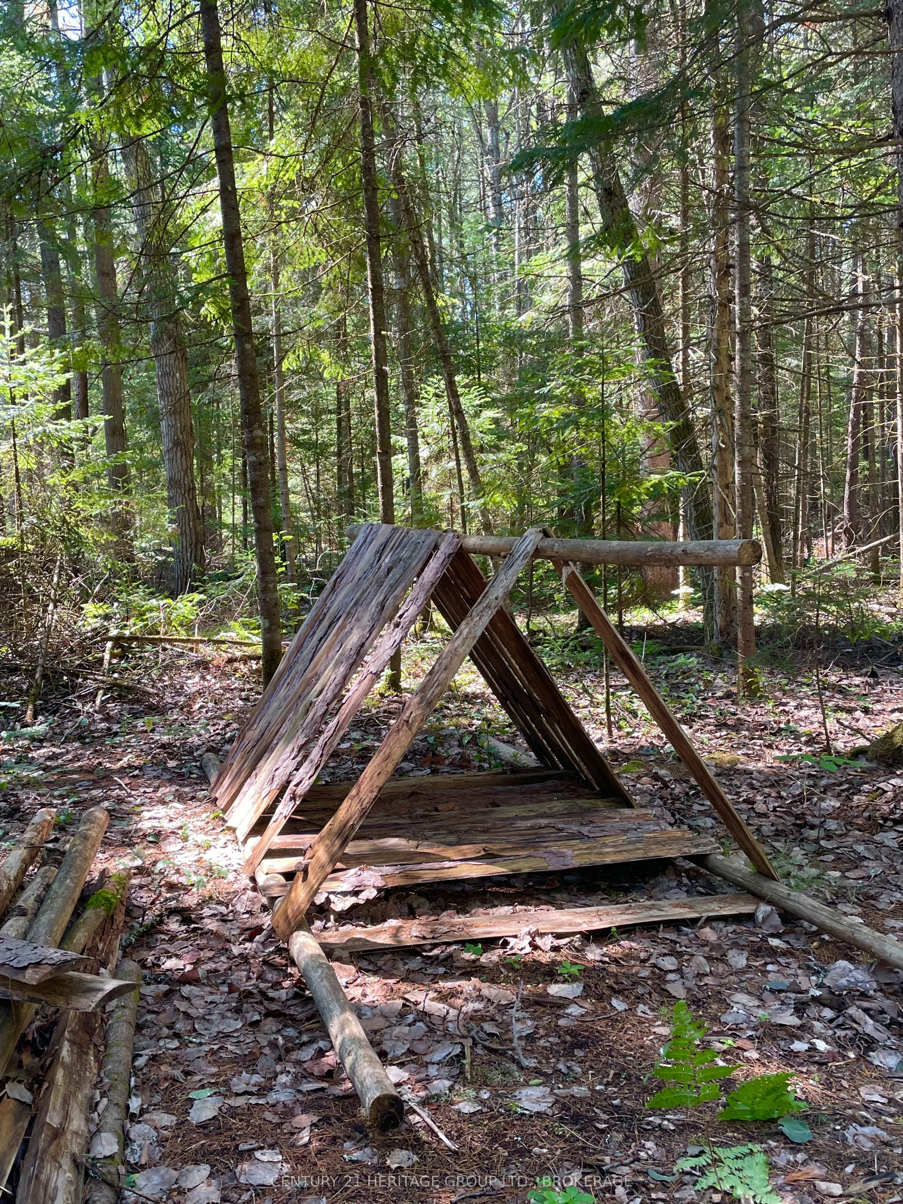 19473 41 Highway Property Photo 14