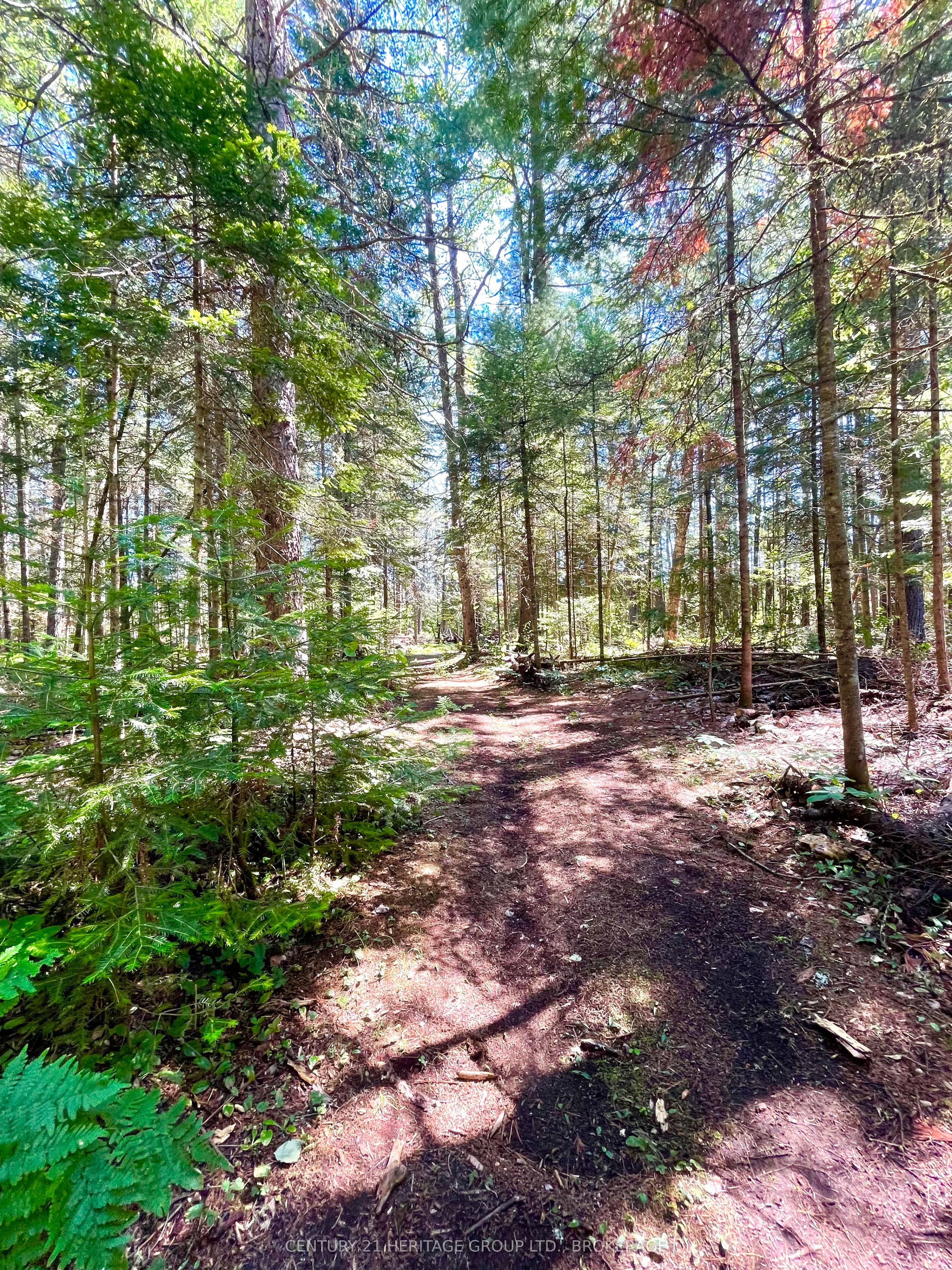19473 41 Highway Property Photo 17