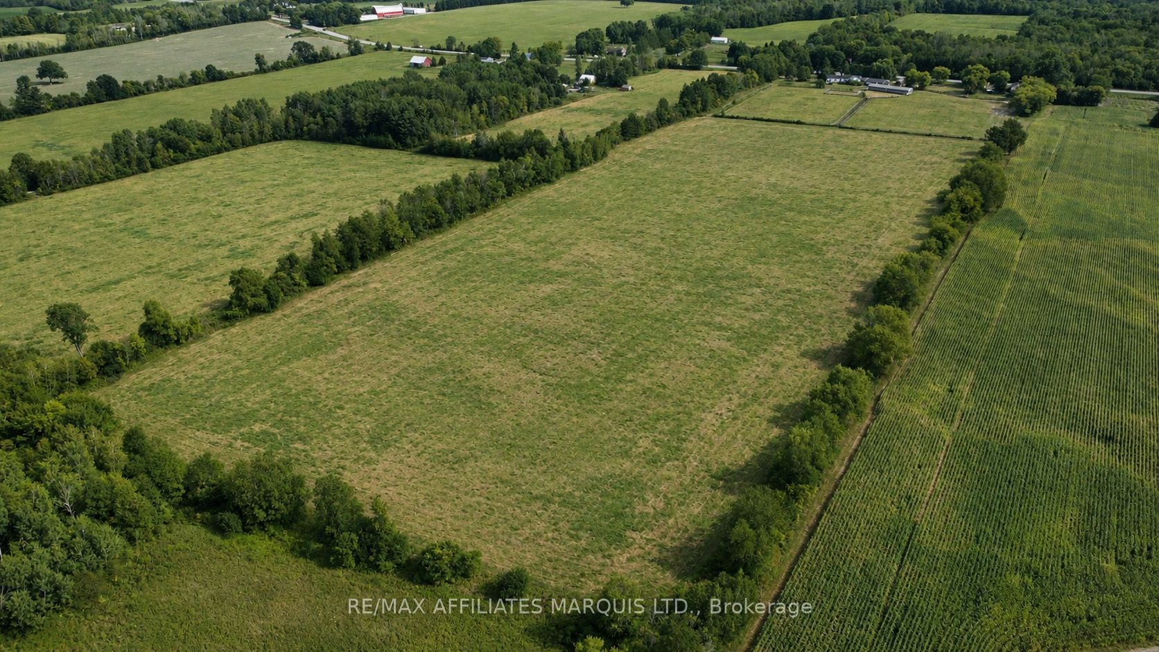 7788 County Rd 21 Road Property Photo 37