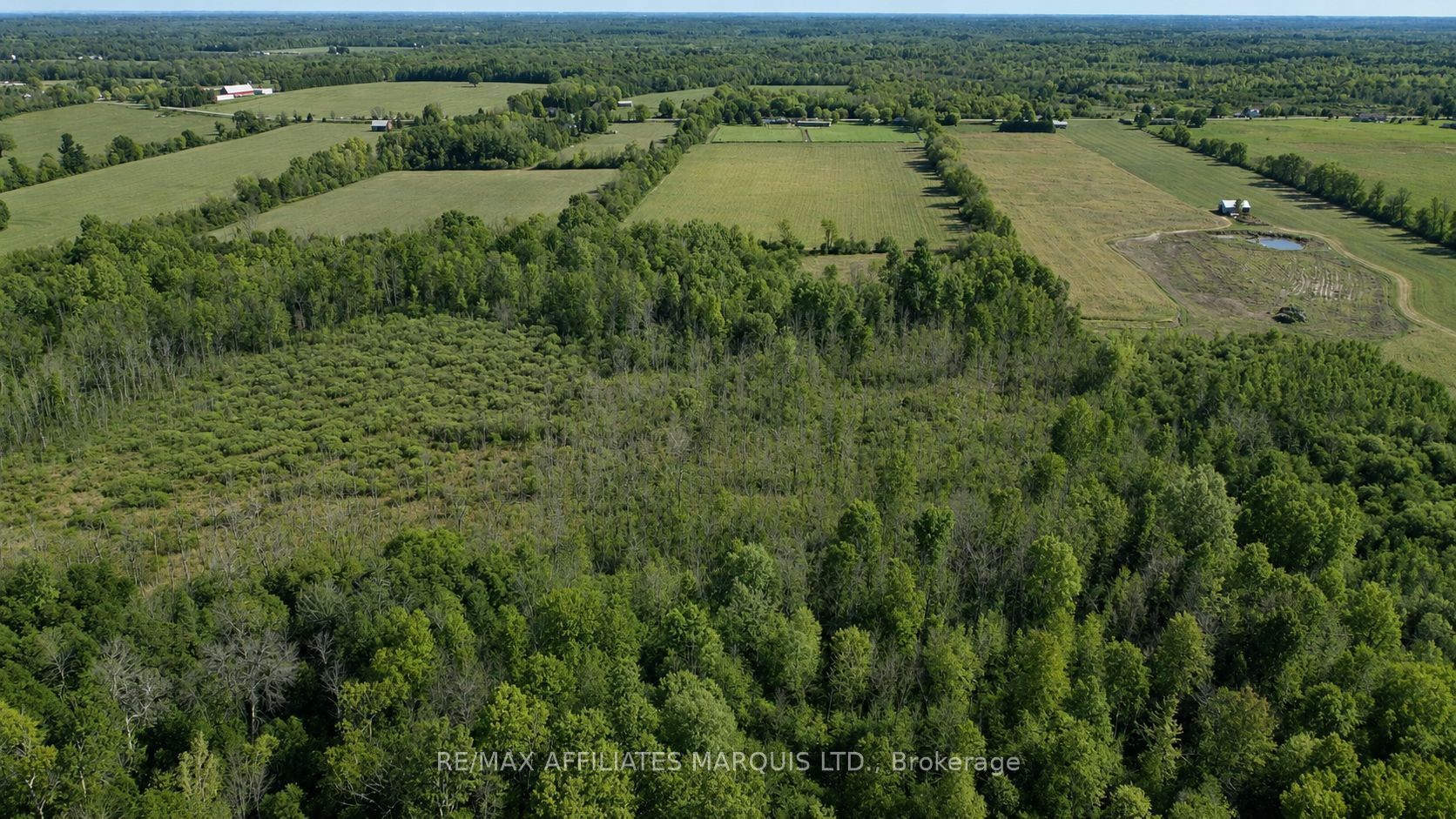7788 County Rd 21 Road Property Photo 38