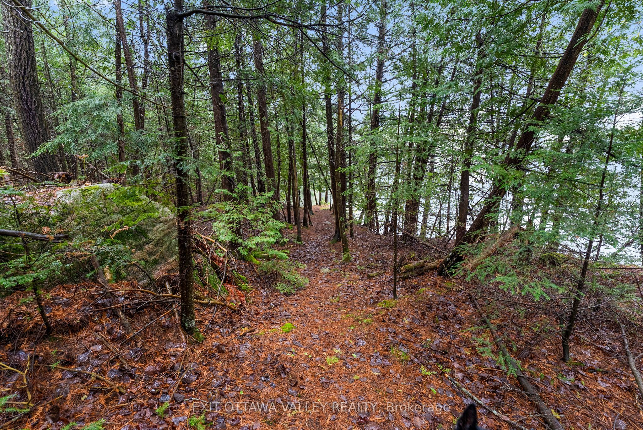 28084 Highway 41 Property Photo 27